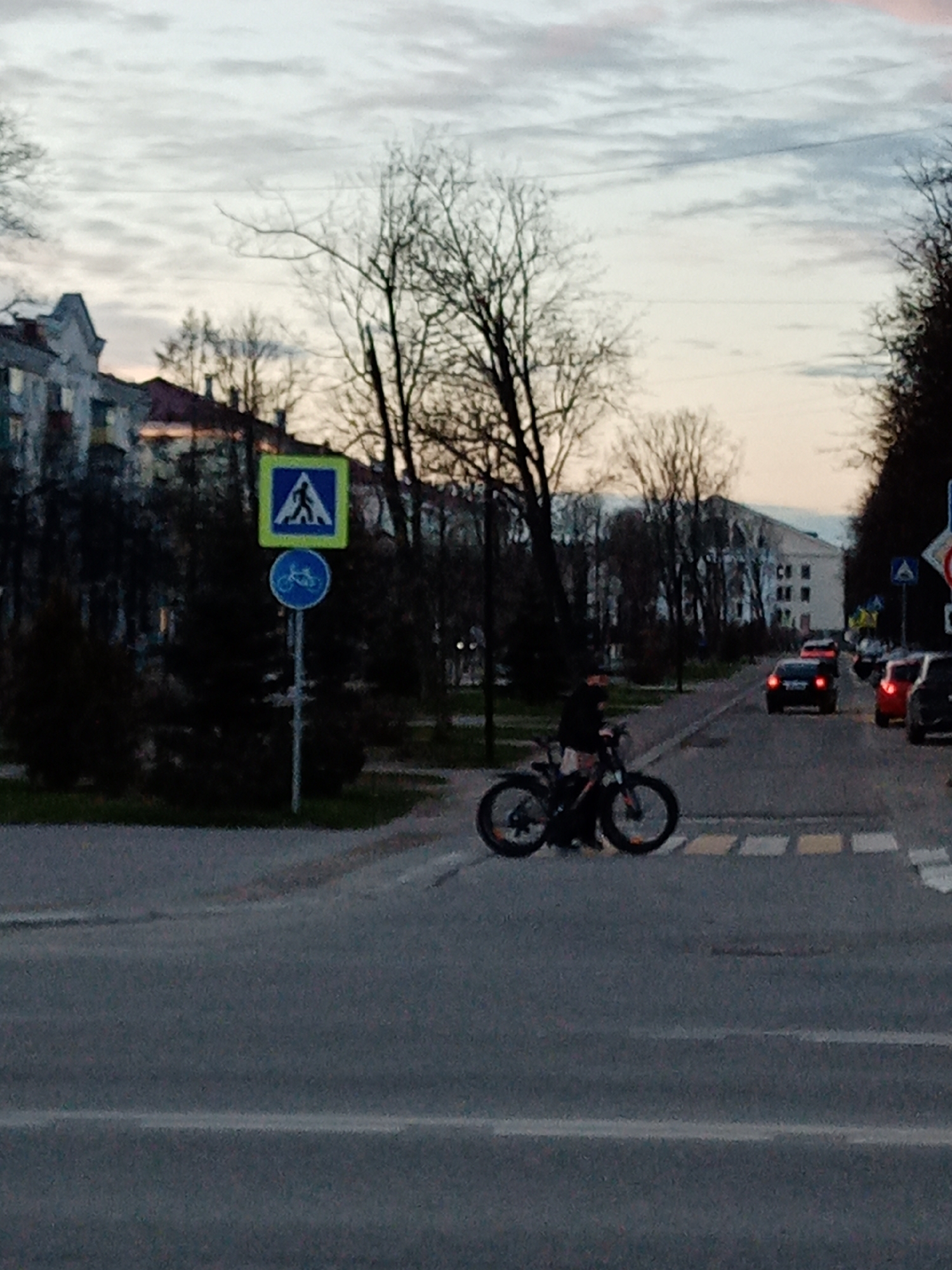 The image shows a street scene in Elektrostal, Russia. A cyclist is walking a bicycle across a pedestrian crosswalk. The crosswalk is marked with yellow and white stripes. A pedestrian and bicycle crossing sign is visible on the left side of the road. Cars are stopped on the road waiting for the cyclist to cross. The sky is overcast. Trees are in the background without leaves. Buildings are visible in the background.