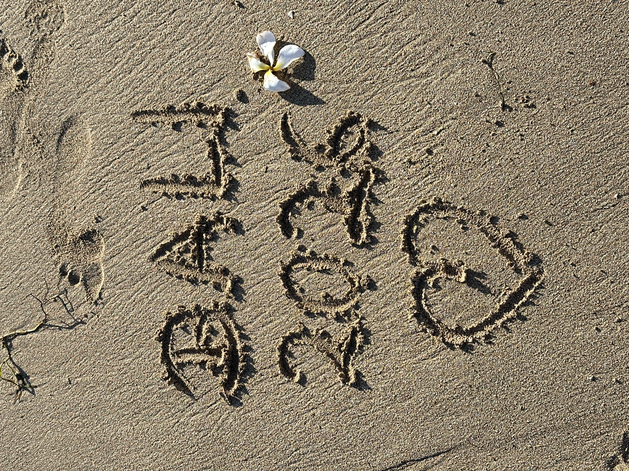 The image captures a close-up view of a beach in Kuta Selatan, Indonesia, with "BALI 2026" and a heart symbol drawn in the wet sand. The lighting suggests it is either early morning or late afternoon, casting long shadows. A white plumeria flower with yellow accents rests on the sand to the right of the writing. The sand has a fine grain and shows ripples from the tide or wind. There are faint footprints and debris on the sand, indicating a natural beach environment.