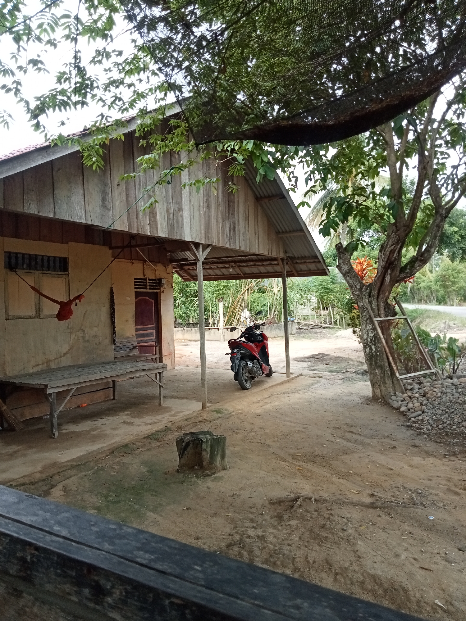 The image depicts a rural scene in Matangsijuek Timur, Indonesia. A simple wooden house with a corrugated metal roof is visible on the left. A red hammock is hanging near a window on the house's wall. In front of the house, there is a wooden bench. A red motorcycle is parked under the overhang of the house. To the right of the house, a large tree stands with a ladder propped against it. The ground is dirt and gravel, with some vegetation and rocks scattered around. The background shows more trees and foliage, suggesting a natural, undeveloped area. The sky is overcast.