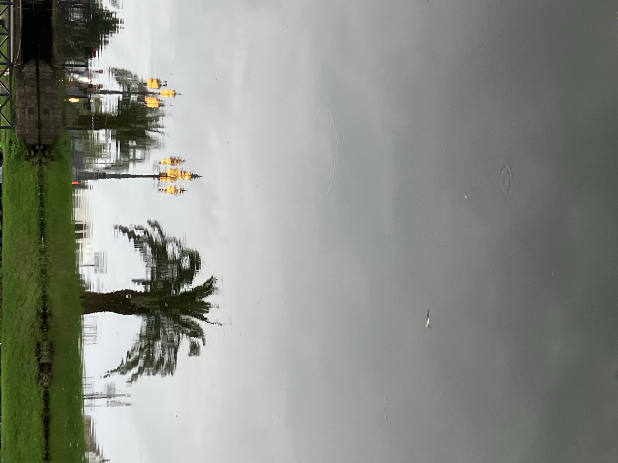 The image depicts a reflective surface of water in Batumi, Georgia. The water reflects the sky, trees, and streetlights, creating an inverted scene. In the background, a lush green lawn borders the water, with a wooden railing and bridge visible. The surface of the water is disturbed in places, with ripples and small circular patterns. A white bird is seen flying across the water in the distance. The overall impression is one of tranquility and natural beauty within an urban setting.