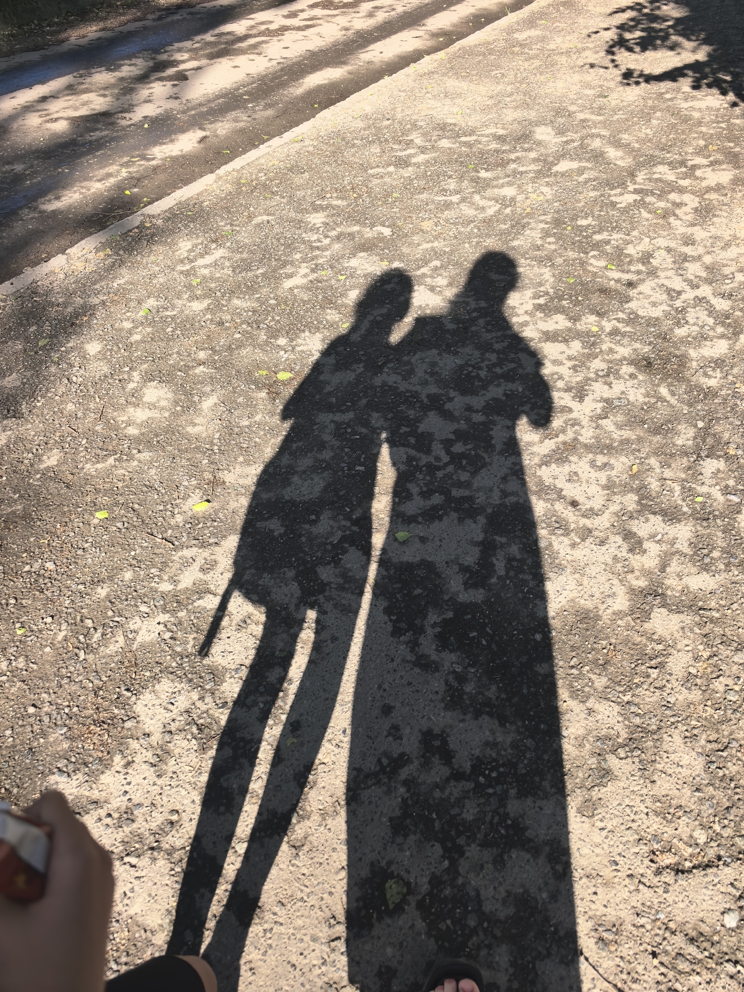 This media file depicts two shadows of people cast on a gravelly surface. The shadows suggest a bright, sunny day, likely in the late afternoon or early evening due to the length of the shadows. The scene appears to be an outdoor pathway, possibly a park or a trail, with patches of darker soil or asphalt interspersed with the gravel. Small green leaves are scattered on the ground.
The shadows are of two individuals, one slightly taller than the other, standing close together, with their arms around each other, implying a close relationship. The taller shadow is wearing what appears to be a long dress or skirt, while the other shadow's attire is less defined. The image is taken from a low angle, looking down at the ground and the shadows.
In the foreground, a hand is visible holding a small, red and white object, possibly a cigarette pack or a lighter, suggesting one of the individuals is holding it. The overall mood evoked by the image is one of warmth and companionship, amplified by the long shadows and the gentle scattering of leaves. The time of day is suggested by the long, distinct shadows, indicating sunlight from a low angle. There is no visible text in the image.