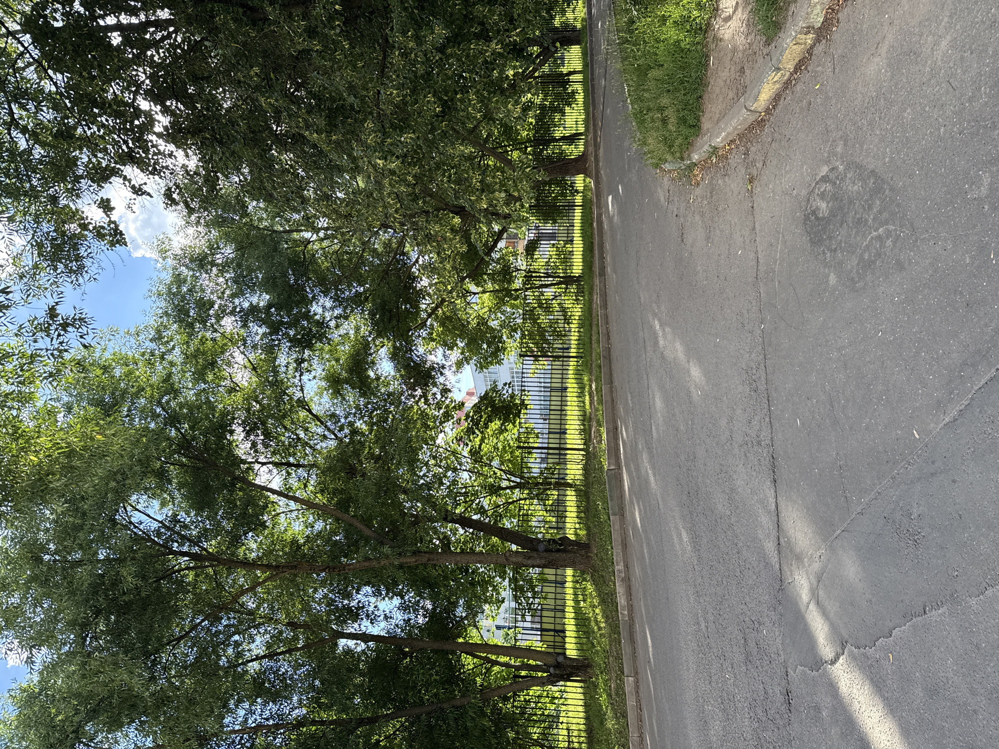 The image shows a street scene in an urban environment. In the foreground, there is an asphalt road with some cracks and uneven patches. A grassy area with a curb runs alongside the road on the right side. Behind the grass and curb, there is a black metal fence. Beyond the fence, there are several trees with lush green foliage, casting shadows on the ground. In the background, glimpses of a white building with some windows and a red roof can be seen through the trees. The sky above is blue with some white clouds. The overall impression is a residential or public area with a combination of paved surfaces and green spaces. There are no people or animals visible in the image. The time of day appears to be daytime, with sunlight filtering through the trees.