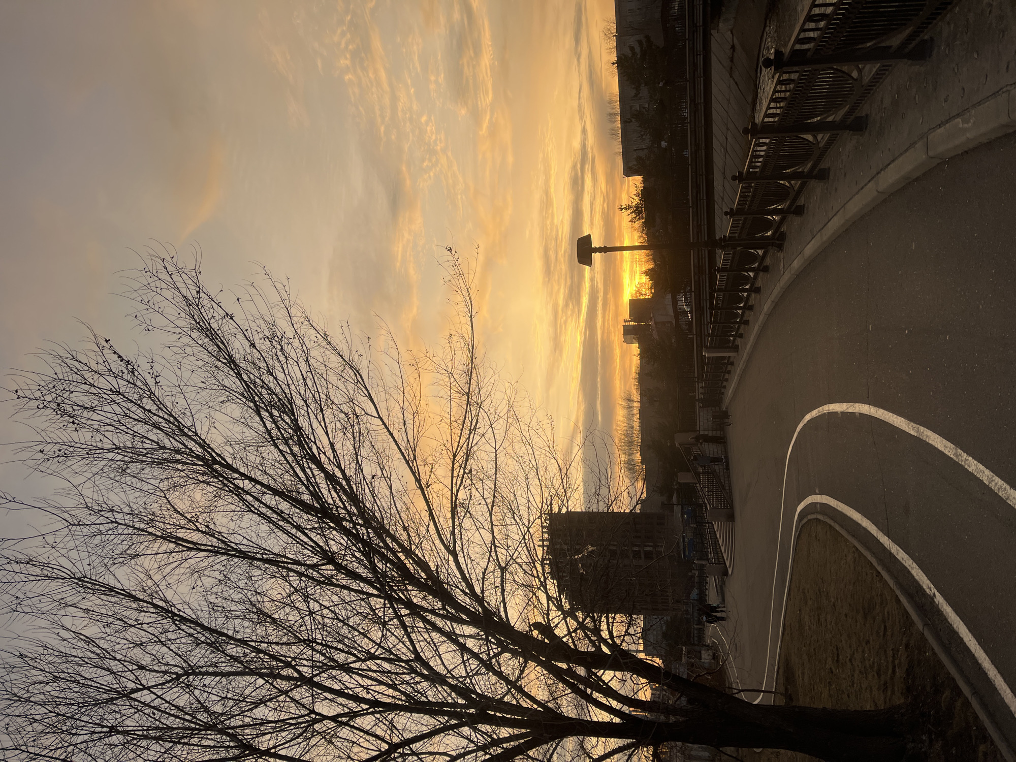 A medium-angle, landscape-orientation photograph depicts a city scene at dawn or dusk, possibly Krasnoyarsk, Russia. The composition is dominated by a large, leafless tree in the lower left, its branches silhouetted against a sky filled with striated clouds tinted yellow and orange by the setting or rising sun.
To the right of the tree, a paved path curves into the distance, marked by a white painted line. A low metal fence runs parallel to the path, separating it from a slightly elevated area. Beyond the fence, a blurred cityscape emerges, with buildings and a lamppost visible against the bright horizon. In the background, under construction building can be seen.
The overall atmosphere is tranquil, with the soft light and bare tree branches suggesting a moment of transition in the urban environment.