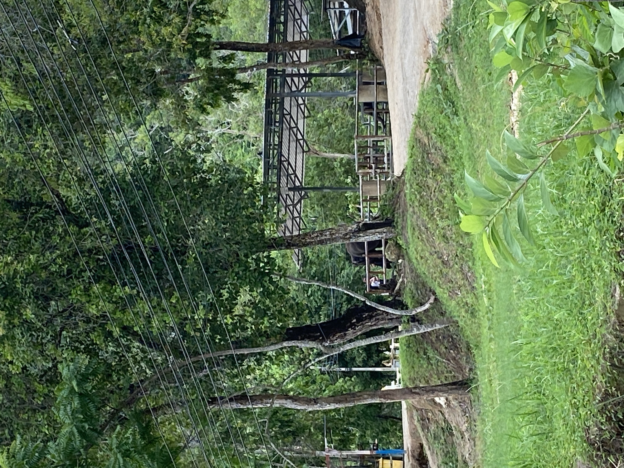 The image shows a scene in Choeng Thale, Thailand, featuring a mix of natural and built elements. Lush green vegetation, including trees and grass, dominates the foreground and background. Overhead power lines are visible among the trees. A covered structure with a metal frame stands near a paved path. The scene suggests a location near a natural environment with accessible infrastructure.