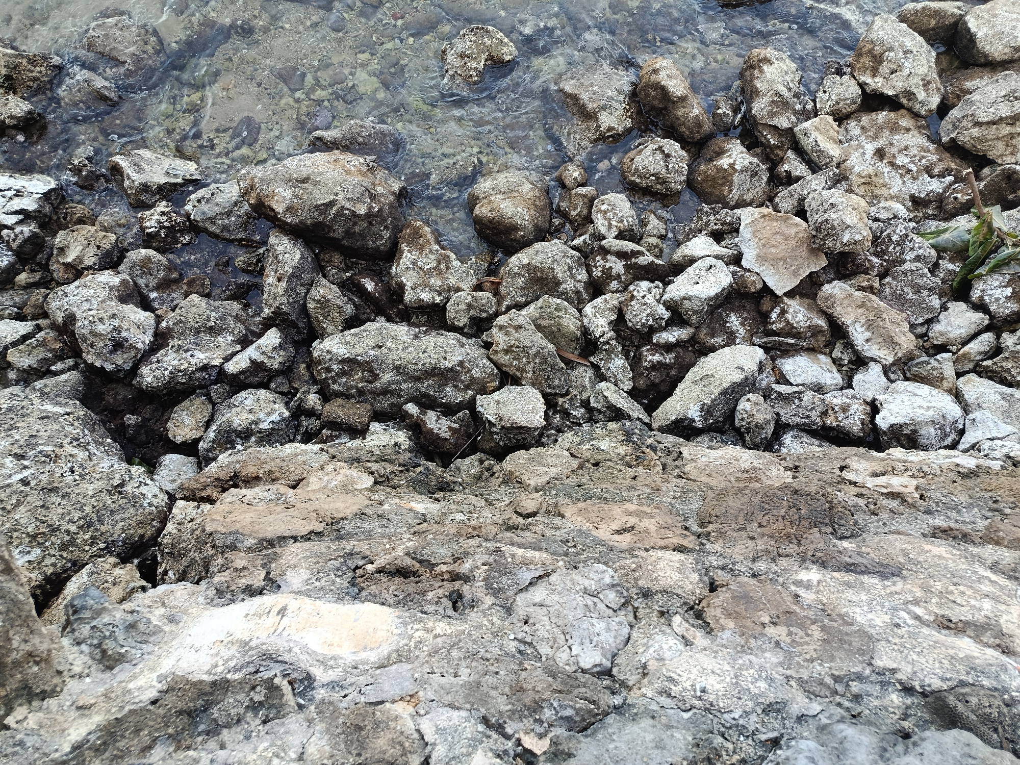 The image depicts a rocky shoreline at the water's edge. The foreground is dominated by large, rough-textured rocks, some of which appear to be part of a natural embankment or man-made structure. In the mid-ground and background, smaller rocks and pebbles are visible, some partially submerged in the clear, shallow water. The water itself has a rocky or sandy bottom, visible through its transparency. There are no people or animals present in the image. The environment suggests a natural or semi-natural coastal setting, possibly a beach or a rocky coast. The lighting suggests it is daytime. The location is identified as Mansalean, Indonesia.