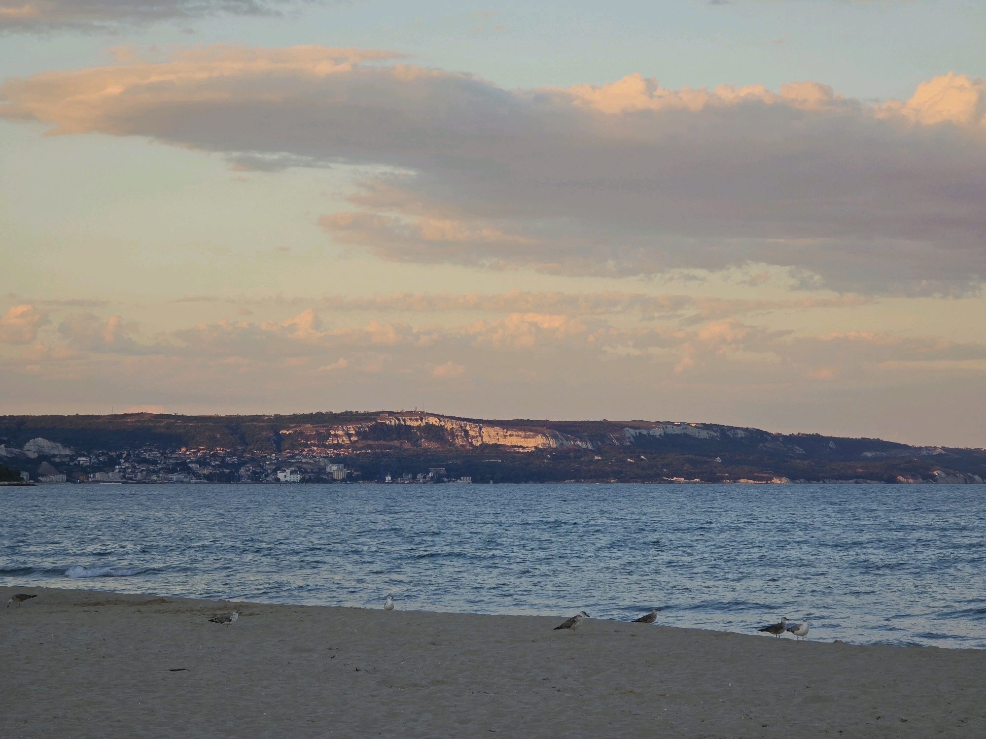 The image depicts a tranquil beach scene at sunset. The sky is painted with soft hues of pink, orange, and pale blue, with scattered clouds. A calm, blue sea stretches across the midground, with gentle waves lapping at the sandy shore. Along the horizon, a long, elevated landmass is visible, featuring a densely populated city or town with buildings clustered along the slopes and coastline. The foreground is dominated by a sandy beach, with a few seagulls scattered on the sand and near the water's edge. The overall atmosphere is peaceful and serene, characteristic of a coastal evening. The location is identified as the city of Obrochishte, Bulgaria, suggesting a view of its coastline.
