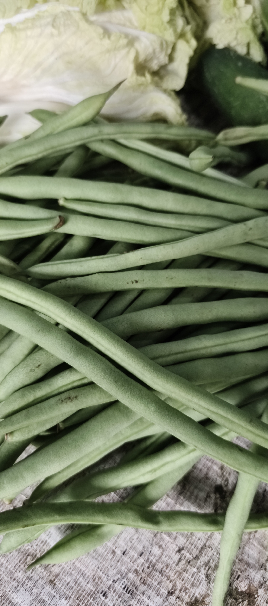 The image displays a close-up, overhead view of a pile of fresh green beans. The beans are elongated and slender, with a smooth, vibrant green surface. Some beans show subtle variations in color, with faint brown spots or streaks on their surfaces, suggesting they are naturally grown. The beans are arranged in a dense, overlapping manner, filling the majority of the frame. In the background, out of focus, are glimpses of other vegetables, including what appears to be large, pale green cabbage leaves and a dark green cucumber. The beans are resting on a textured surface that has a woven pattern, possibly a cloth or mat, with a light grey and white color scheme. The lighting is soft and natural, casting subtle shadows that highlight the texture of the beans. The overall impression is one of freshness and a bounty of produce. There are no people or discernible landmarks to indicate a specific location within Muaro Jambi, Indonesia.
