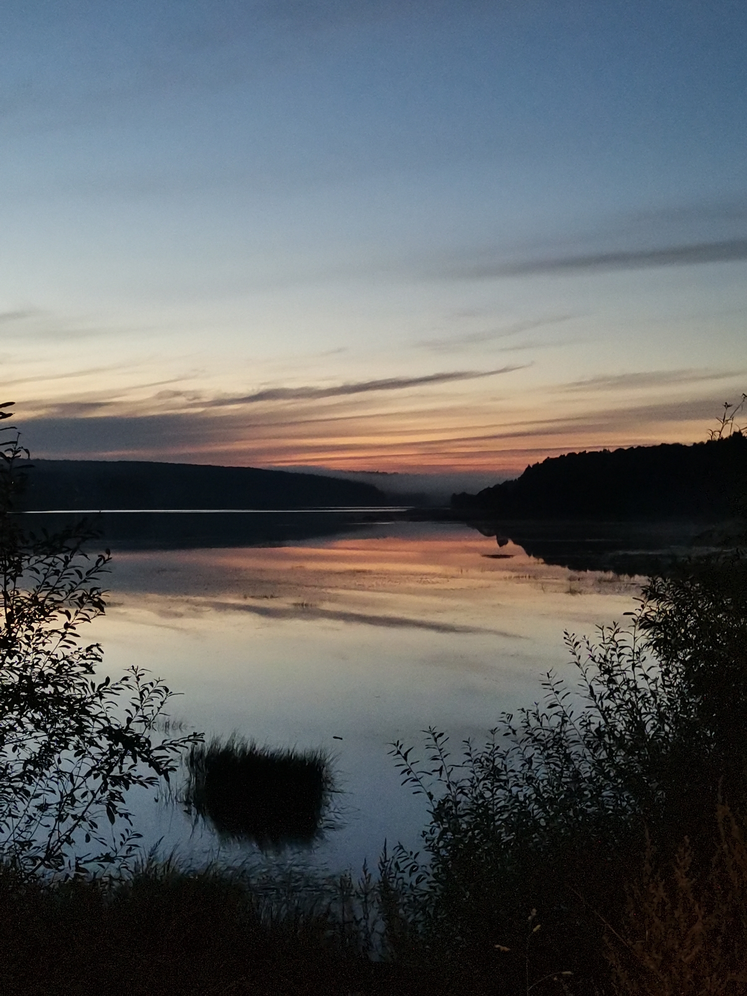 This is a photograph of a tranquil lake at dawn or dusk, likely in Alexandrovsk, Russia. The sky transitions from a pale blue at the top to hues of orange and pink near the horizon, with wispy clouds creating streaks of color. The calm water reflects the sky and the silhouetted treeline of the distant shore. In the foreground, dark silhouettes of bushes and grass frame the scene. A cluster of dark reeds or vegetation stands in the water, also mirrored on the surface. The overall atmosphere is peaceful and serene, indicative of natural beauty. There are no people or active subjects visible in the image.
