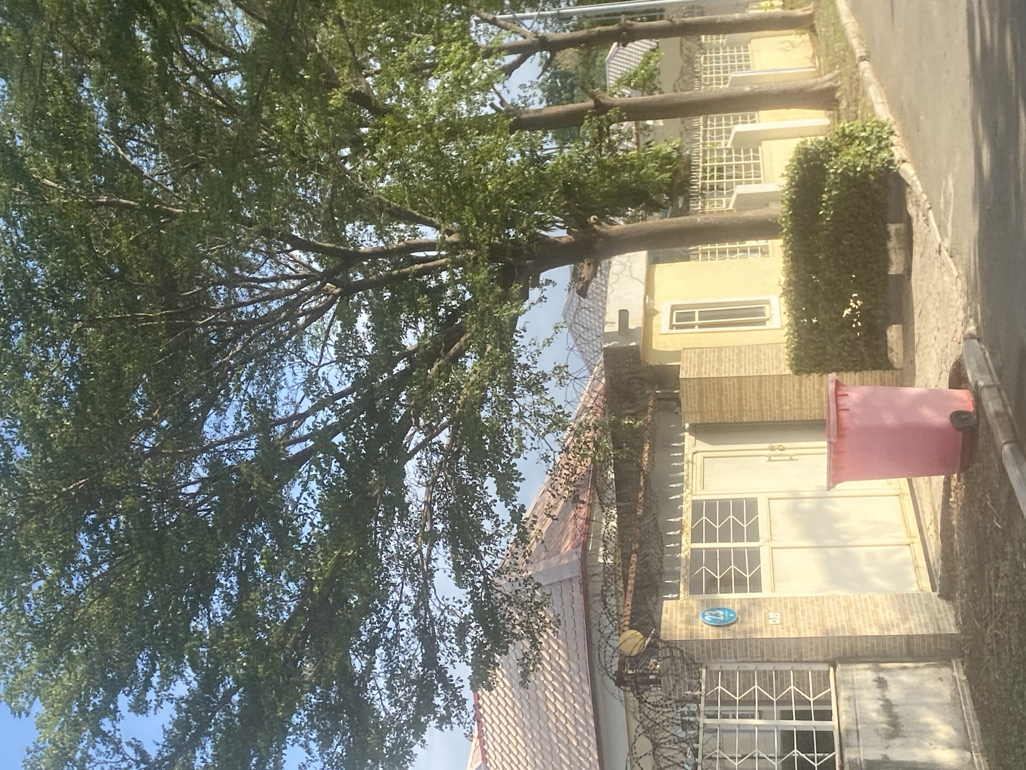 A ground-level, daytime exterior shot shows a building in Gosa, Nigeria. The building's facade includes a light-colored brick exterior, white-framed windows, and a white door. A pink trash bin sits near the entrance. Security elements such as barbed wire are visible on the property. A large tree with dense foliage partially obscures the building. The sky is blue and visible through the branches. A road is to the right of the building. Another yellow building can be seen in the background.