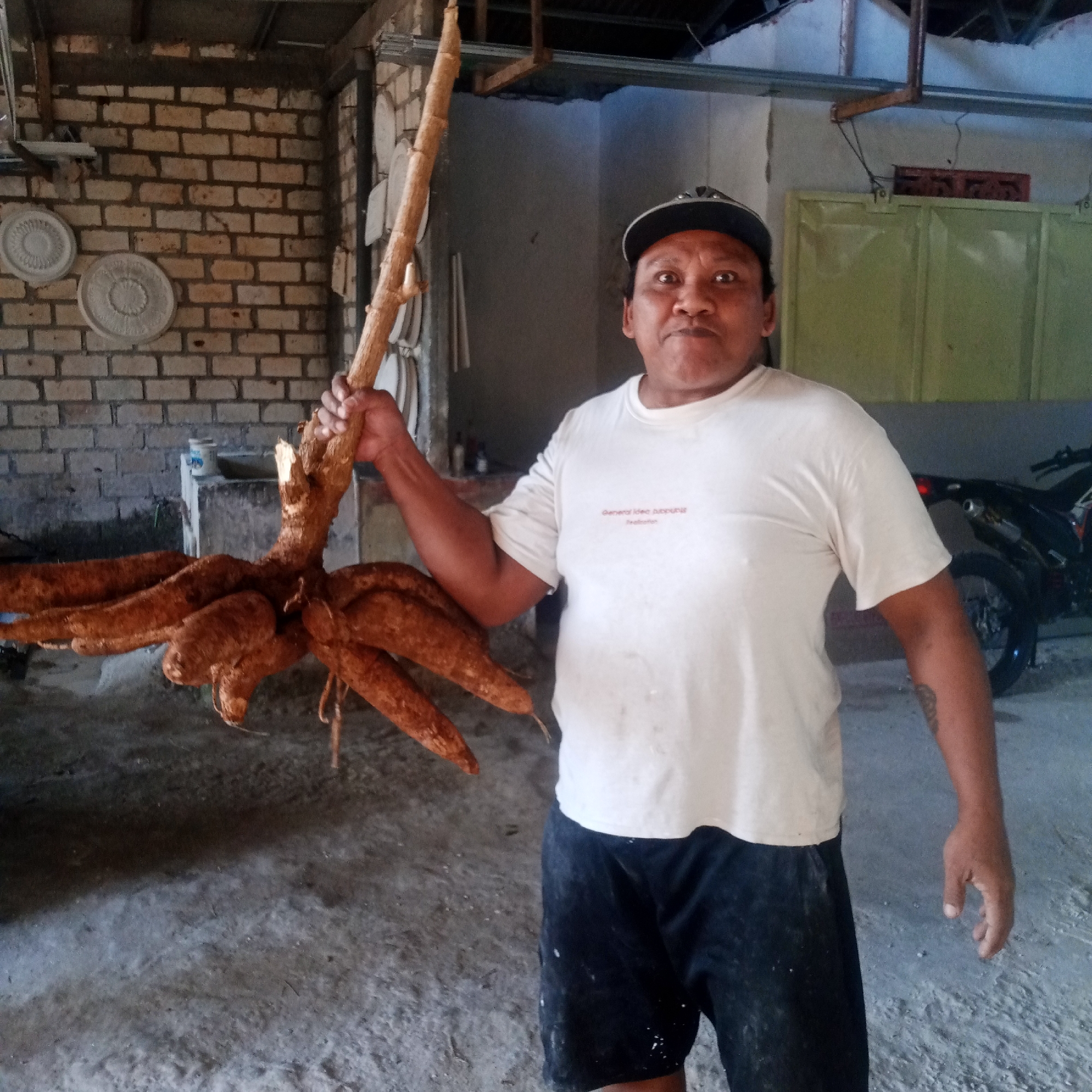 An adult male, wearing a white t-shirt and black shorts, stands in what appears to be a storage or workshop area. He is holding a large cassava root system with a thick woody stem. The environment includes a brick wall in the background, a concrete floor, and what looks like a green metal door and a motorcycle to the right. There are also some circular decorative items mounted on the brick wall. The lighting suggests it is daytime, possibly indoors with some natural light. The man is looking directly at the camera with a neutral expression. The image was taken in Semanding, Indonesia.