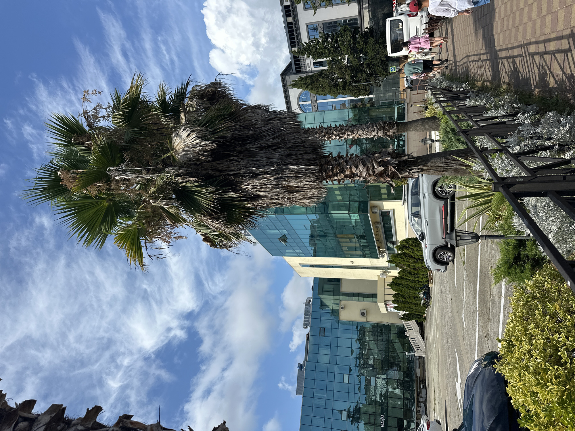 The image shows a modern building with a glass facade and a parking lot in Sochi, Russia. A large palm tree stands in the foreground, with its fronds extending into the blue sky filled with wispy white clouds. Several cars are parked in the lot, including a silver SUV and a dark-colored sedan. In the background, people are walking along a sidewalk adjacent to a black metal fence. The building's reflective windows mirror the sky and surrounding structures.