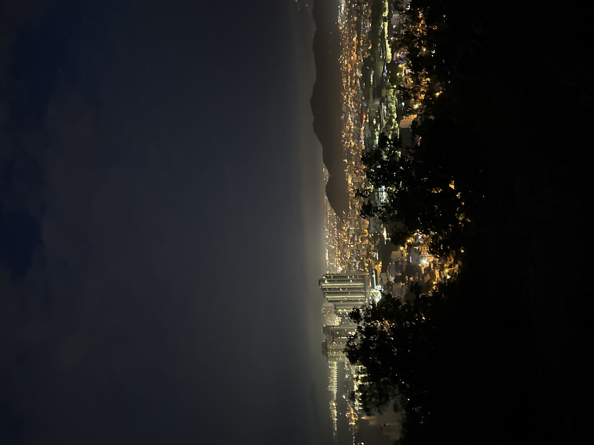 The image depicts a nighttime view of Nha Trang, Vietnam. The camera is positioned from a high vantage point, likely a hillside, looking down at the city. The left side of the image is dark, showing a body of water and a cloudy sky. In the center, a cityscape stretches from the bottom to the top, illuminated by numerous lights. Buildings are clustered together, with some taller structures more prominent in the lower half. The right side of the image is dominated by the silhouette of trees and foliage, creating a dark foreground. The overall scene gives a panoramic view of the city lights and layout at night.