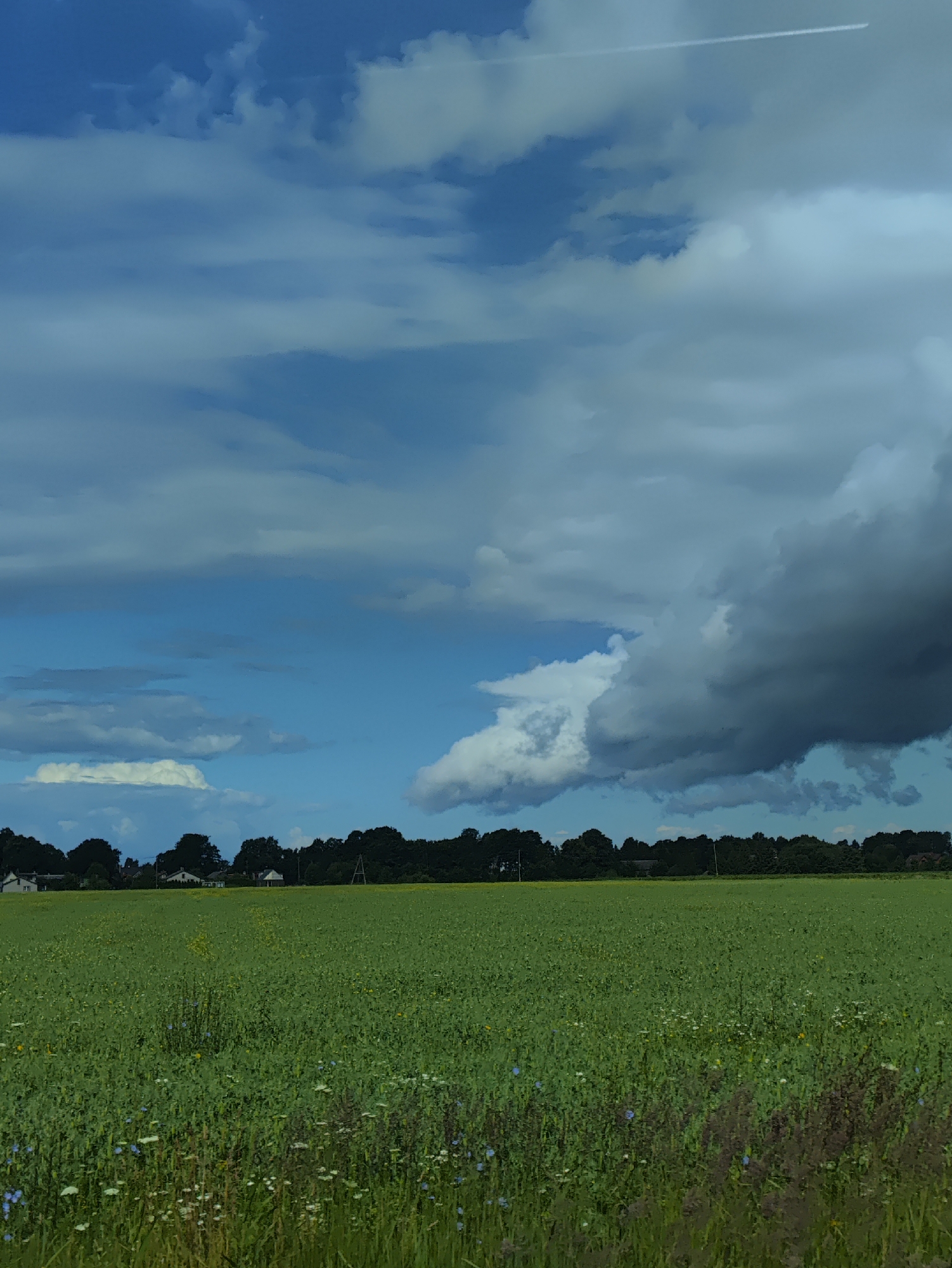 The image shows a wide, vibrant green field under a dramatic sky. The field is lush with vegetation, dotted with small wildflowers of various colors, including white, blue, and yellow. In the background, a dense line of dark green trees forms a horizontal barrier across the horizon. Beyond the trees, several houses with white or light-colored roofs are visible, suggesting a rural or suburban setting. The sky is a dynamic mix of bright blue patches and large, dark, imposing clouds, with a thin white contrail from an aircraft streaking across the upper portion of the frame. The overall impression is one of a beautiful, expansive natural landscape with signs of human habitation on the edge. This scene could be located on the outskirts of the city of Ainaži, Latvia, given its characteristic coastal plains and agricultural landscapes.