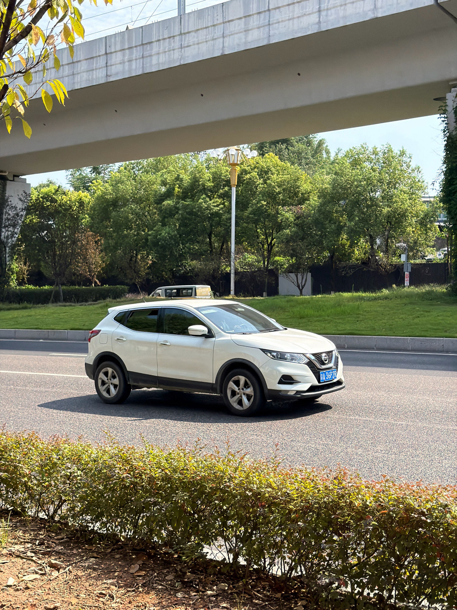 In Jiangjin, China, a white Nissan Qashqai SUV, identified by license plate "A 36P2R", is captured mid-motion on an asphalt road. The vehicle is the primary subject, positioned centrally in the frame and angled slightly towards the viewer's left. It features a yellow taxi light on its roof. The car is moving under a large, elevated concrete structure, likely an overpass or bridge. Behind the road, a neatly manicured grassy median separates the lanes from a background of lush green trees and foliage. The scene is illuminated by natural daylight, casting shadows on the road surface. The foreground is occupied by a dense, green hedge. The sky is visible in the upper portion of the image, appearing clear and light blue.