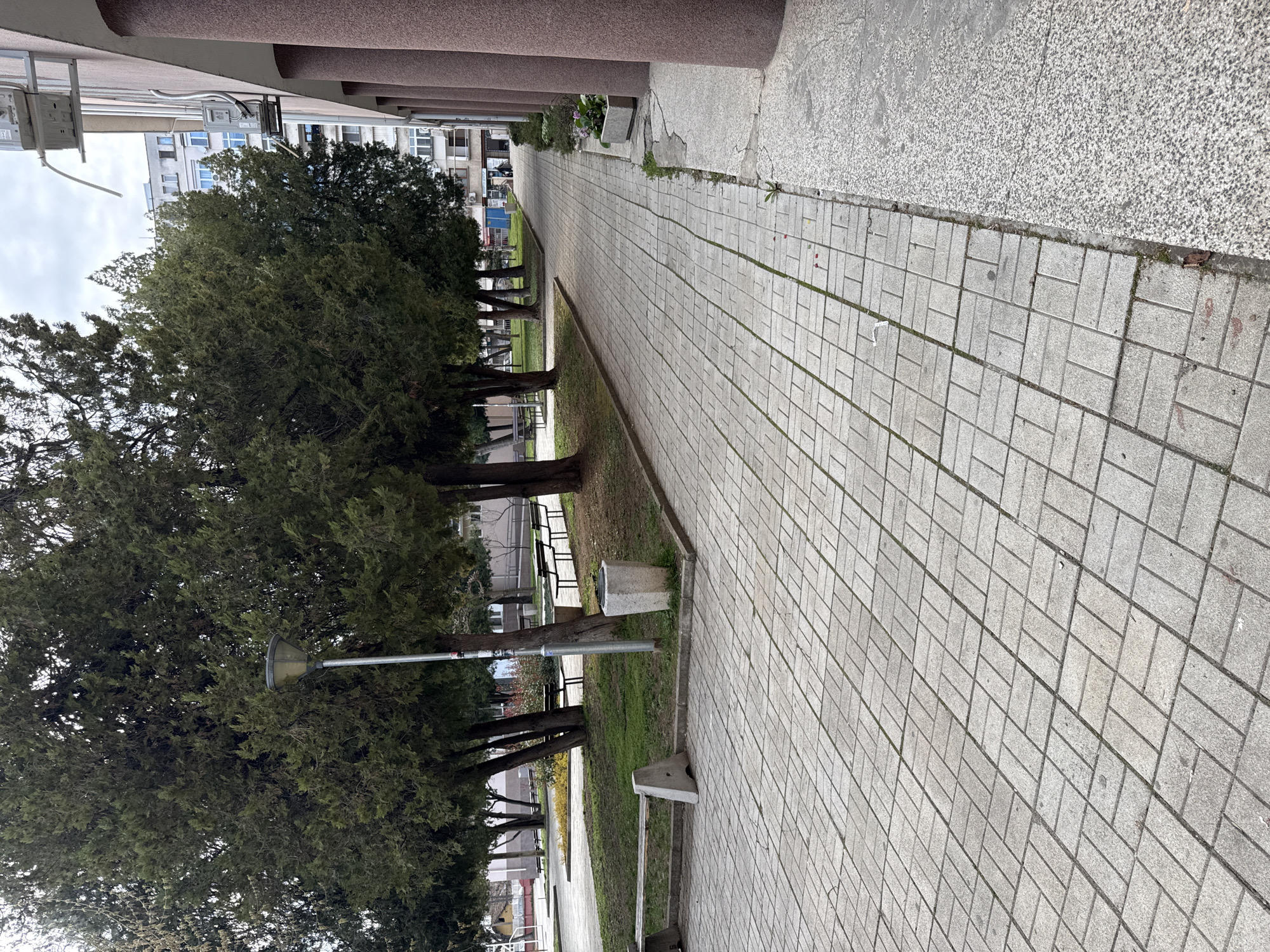 The scene depicts a sidewalk in Montana, Bulgaria. The sidewalk is paved with gray rectangular concrete blocks, arranged in a repeating pattern. It runs parallel to a building on the left side of the frame, defined by brown pillars and a visible facade. A row of trees lines the sidewalk, obscuring the view of the park, which is on the left. Between the trees there are benches. A lamppost is visible. The right side of the frame features a different type of concrete paving, appearing rougher and more textured. In the background, buildings and a cloudy sky are visible. No people are distinctly visible in the image. The overall impression is that of an urban pedestrian area.