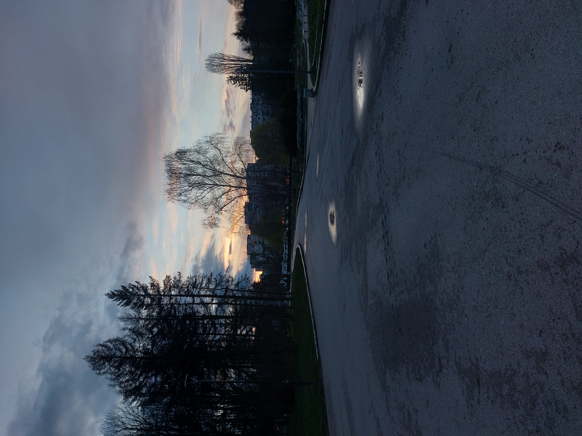 The image depicts a twilight scene along a street in an urban area of Unknown, Unknown. The street is paved and appears wet, reflecting light from overhead sources. A curb separates the pavement from a narrow strip of green grass. Bare trees and silhouettes of buildings are visible against a sky with a mix of grey and pinkish clouds, suggesting either sunrise or sunset. No people are visible. Tire tracks are on the street surface.