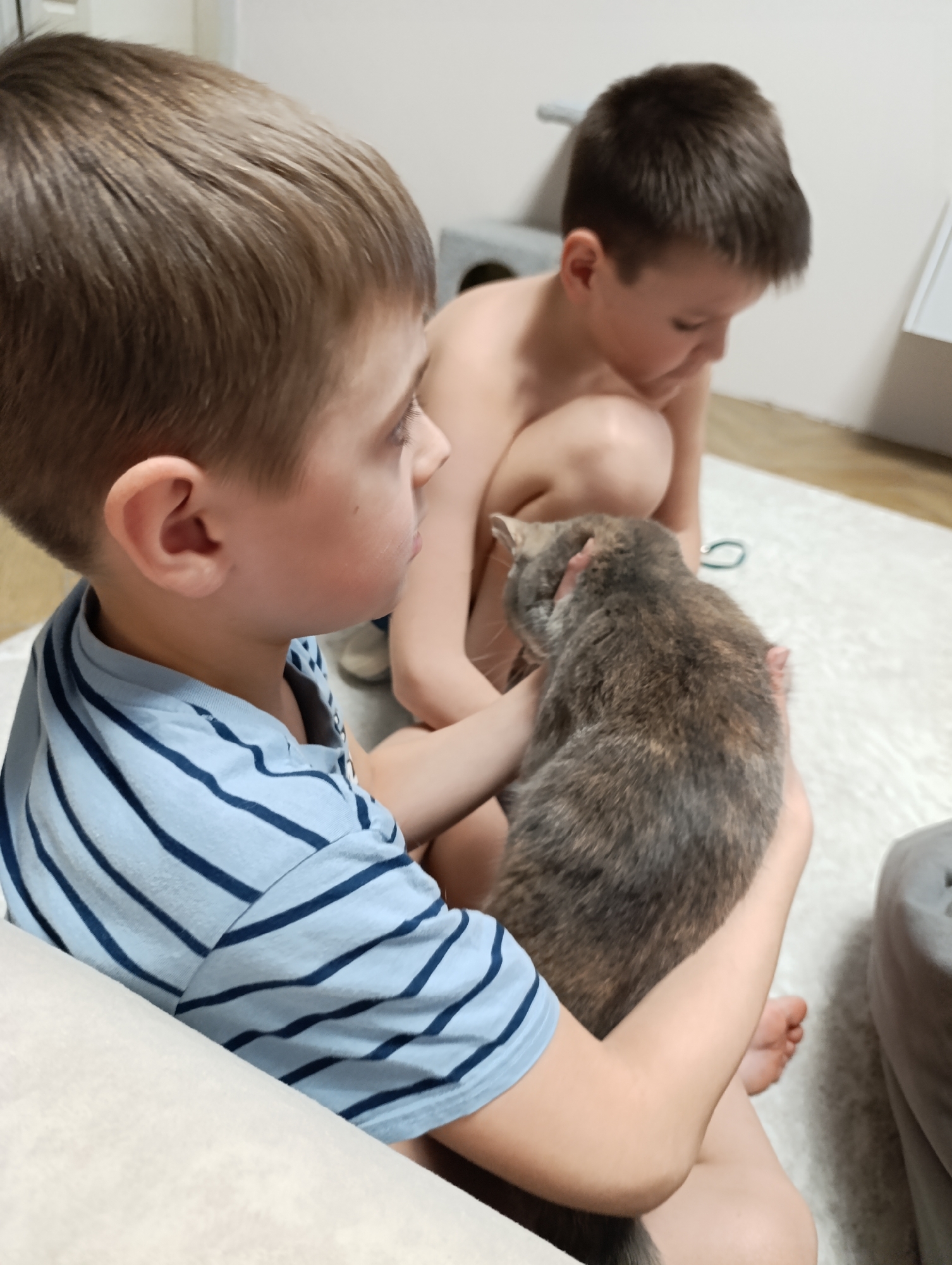 The image depicts two young boys interacting with a cat indoors. The boy in the foreground, wearing a blue and white striped t-shirt, is holding the cat. The cat is a grey and brown color. The second boy is shirtless and sitting on the floor in the background. The background includes a white rug, a cat condo, and light-colored walls. The image was taken indoors in Chaikovsky, Russia.