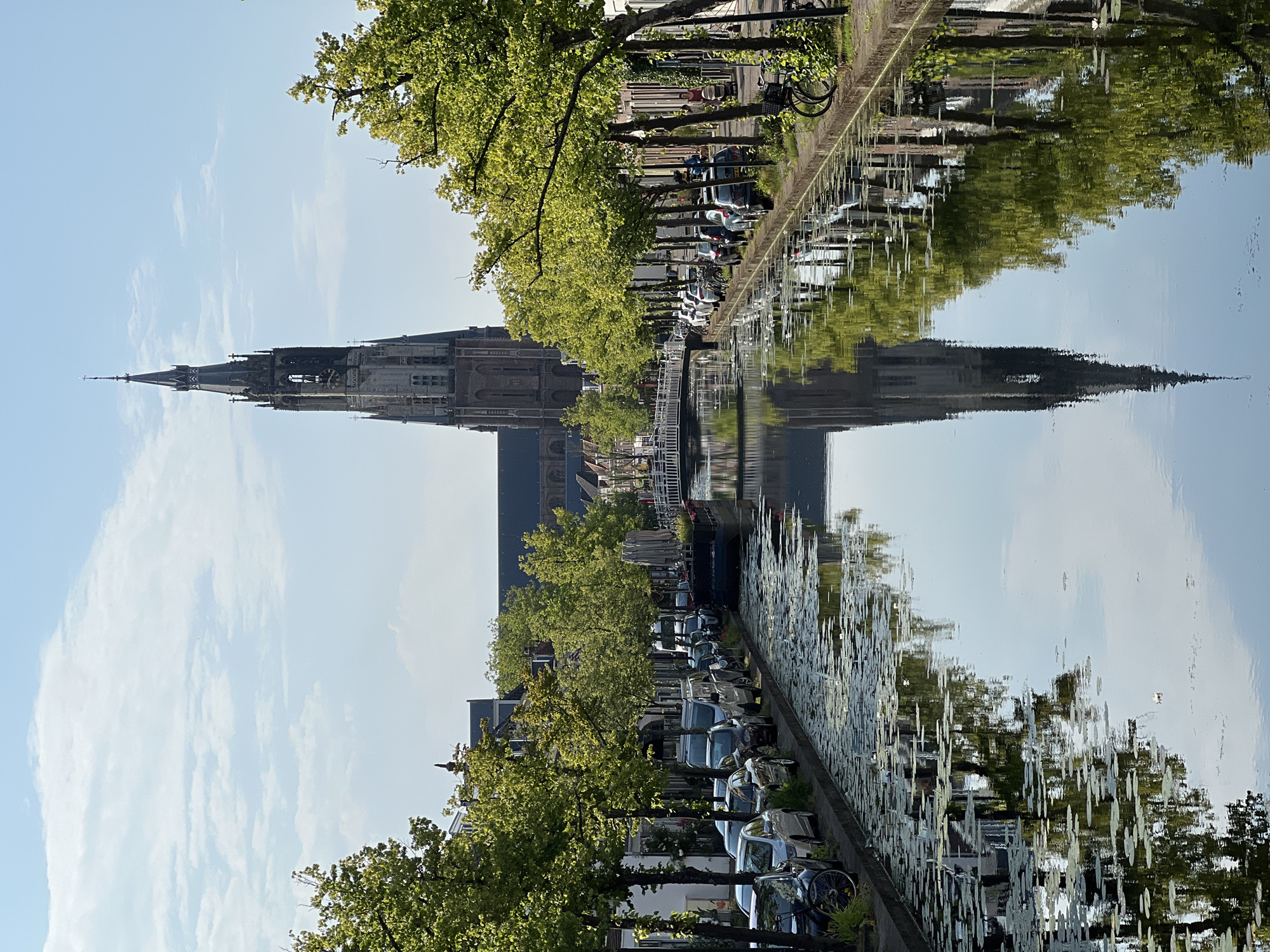 A canal-side view of Delft, Netherlands, showcases the Nieuwe Kerk (New Church) prominently in the background, its tall, slender spire reaching towards a partly cloudy blue sky. The church's reflection is clearly visible on the water's surface, which is dotted with lily pads. On the left bank of the canal, a row of parked cars lines the street, with a bicycle in the foreground. Leafy green trees provide shade along the canal's edge. On the right bank, more trees and buildings are visible, and a pedestrian walkway shows a few people walking. A modern white bridge crosses the canal in the middle distance. The overall scene depicts a tranquil urban canal environment bathed in sunlight.