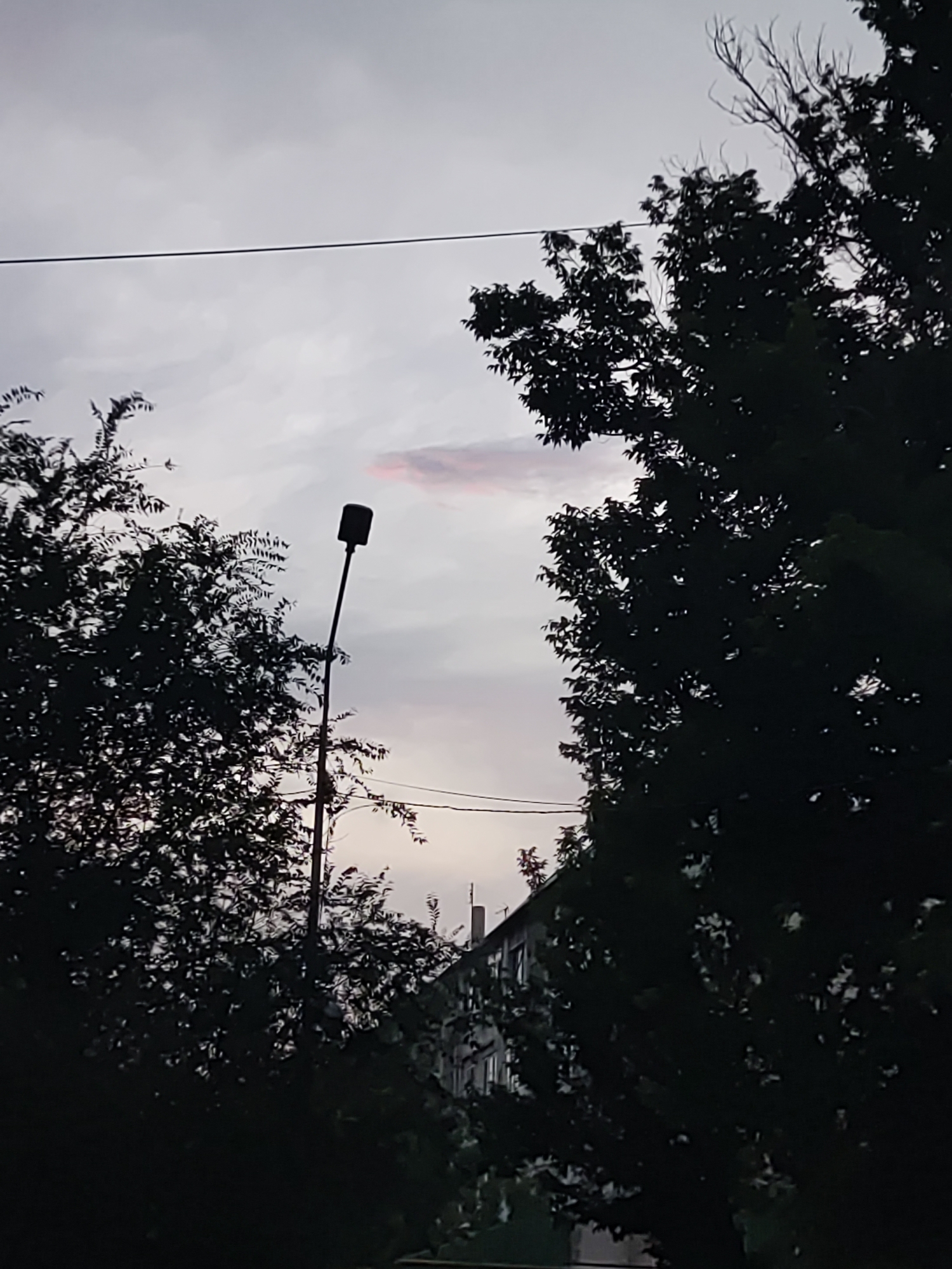 The image depicts a silhouetted street lamp positioned between two dark masses of foliage. The sky above is overcast with subtle hints of pink, suggesting either dawn or dusk. In the background, the upper portion of a building is visible, also silhouetted against the sky. A thin wire stretches horizontally across the upper part of the frame. The scene appears to be set in an urban environment, possibly in Shymkent, Kazakhstan, given the context of the request. There are no people or discernible actions visible in the image.