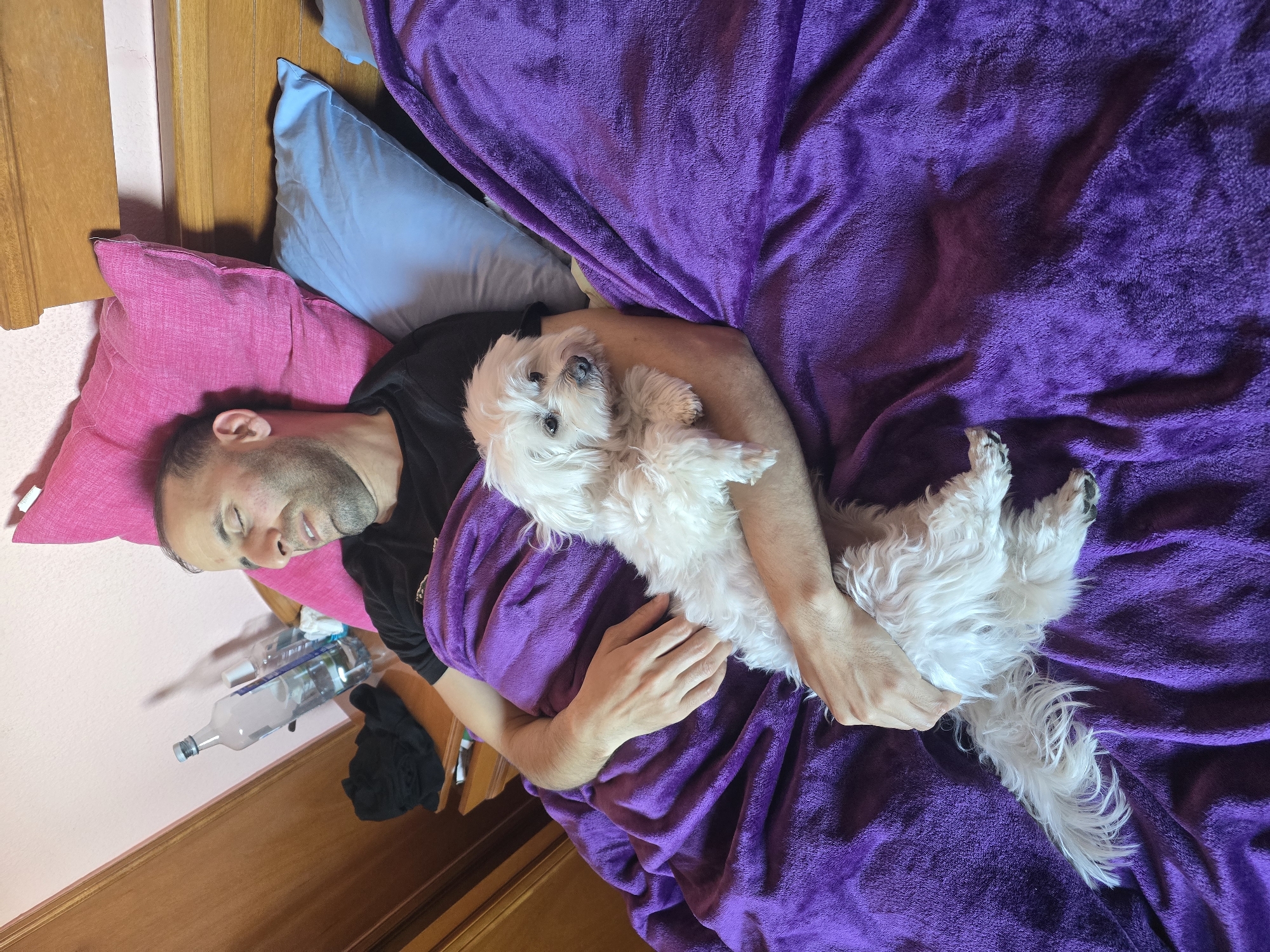 A man is lying in bed hugging a white dog. The man is lying on his left side with his eyes closed. He has short, dark hair and a beard. He is wearing a black shirt. The dog is lying on its back in the man's arms. It has fluffy white fur and is looking at the camera. The bed has a pink pillow, a blue pillow, and a purple blanket. There is a partially-filled clear water bottle and a black shirt on the floor beside the bed. A wood headboard is visible at the top left. The location is Cornellà de Llobregat, Spain.