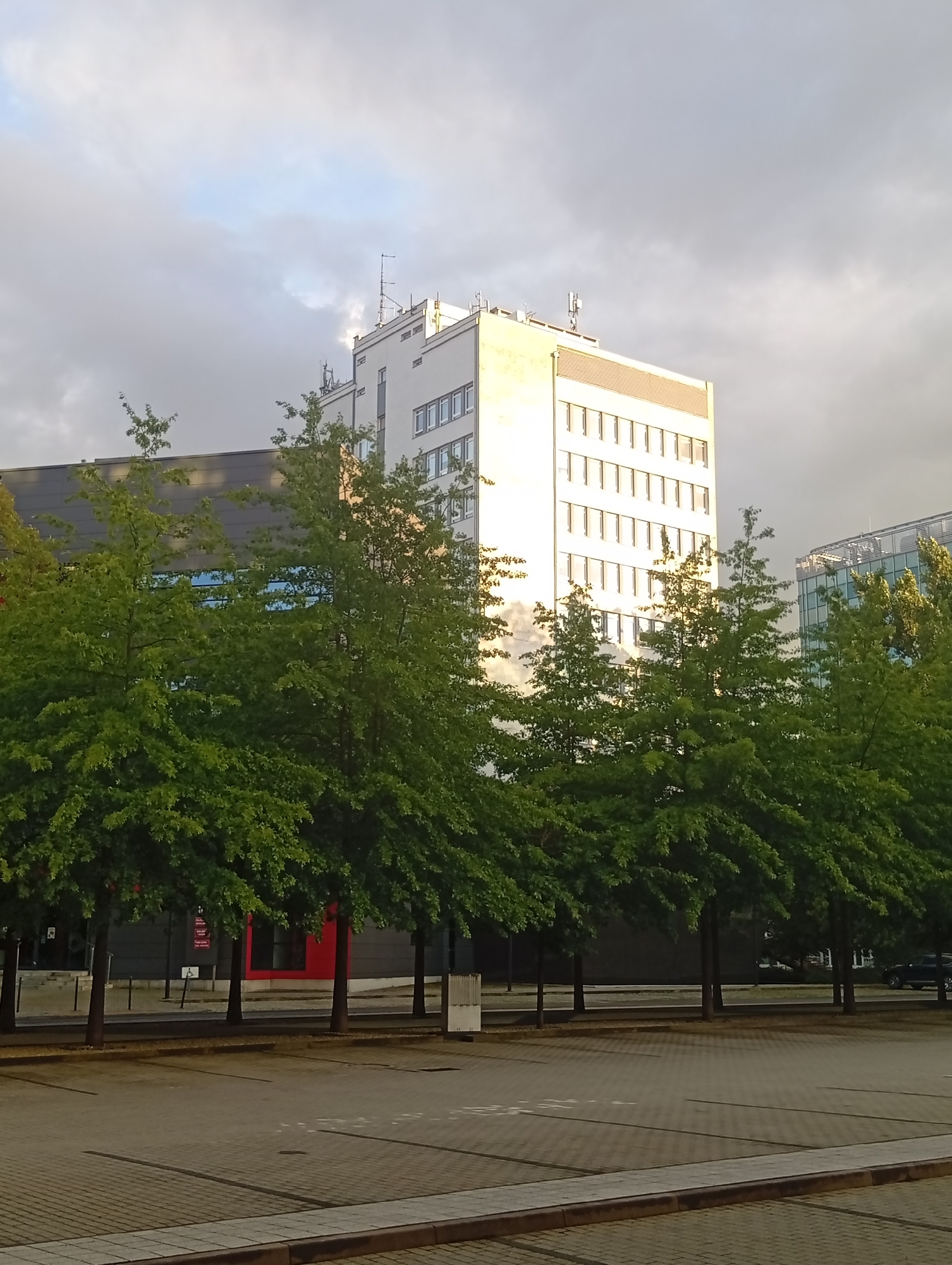 The image depicts a row of deciduous trees with lush green foliage in the foreground, casting shadows on a paved surface that appears to be a parking lot. Behind the trees, a multi-story white building with numerous windows is visible. The building has a modern architectural style, with antennas and communication equipment on its roof. To the right of the white building, another modern building with a glass facade is partially visible. The sky is overcast with clouds, and the lighting suggests it might be late afternoon or early evening. The environment is urban, likely an office or commercial district. Based on its distinctive architectural style, the white building is identifiable as the headquarters of the company KGHM Polska Miedź S.A., located at ulica Marii Skłodowskiej-Curie 48 in Wrocław, Poland.