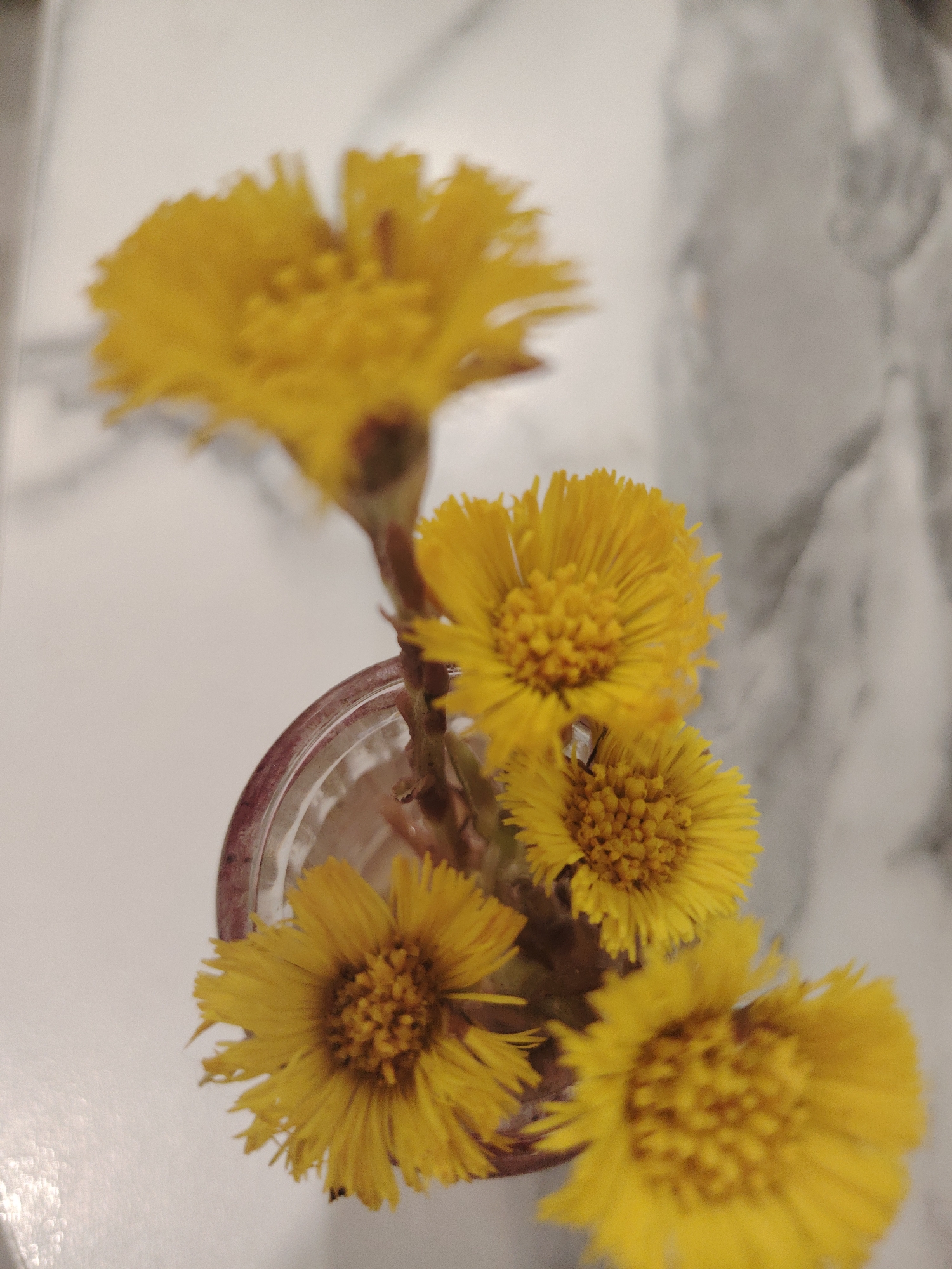 A close-up shot from above shows a small bouquet of yellow flowers in a short glass vase. The vase sits on a surface with a white and grey marbled pattern. The flowers appear to be Coltsfoot flowers (Tussilago farfara), recognizable by their bright yellow, dandelion-like blooms and brown stems. The background is slightly blurred, emphasizing the flowers. The location in the city of Sarapul, Russia is not discernible from the image.