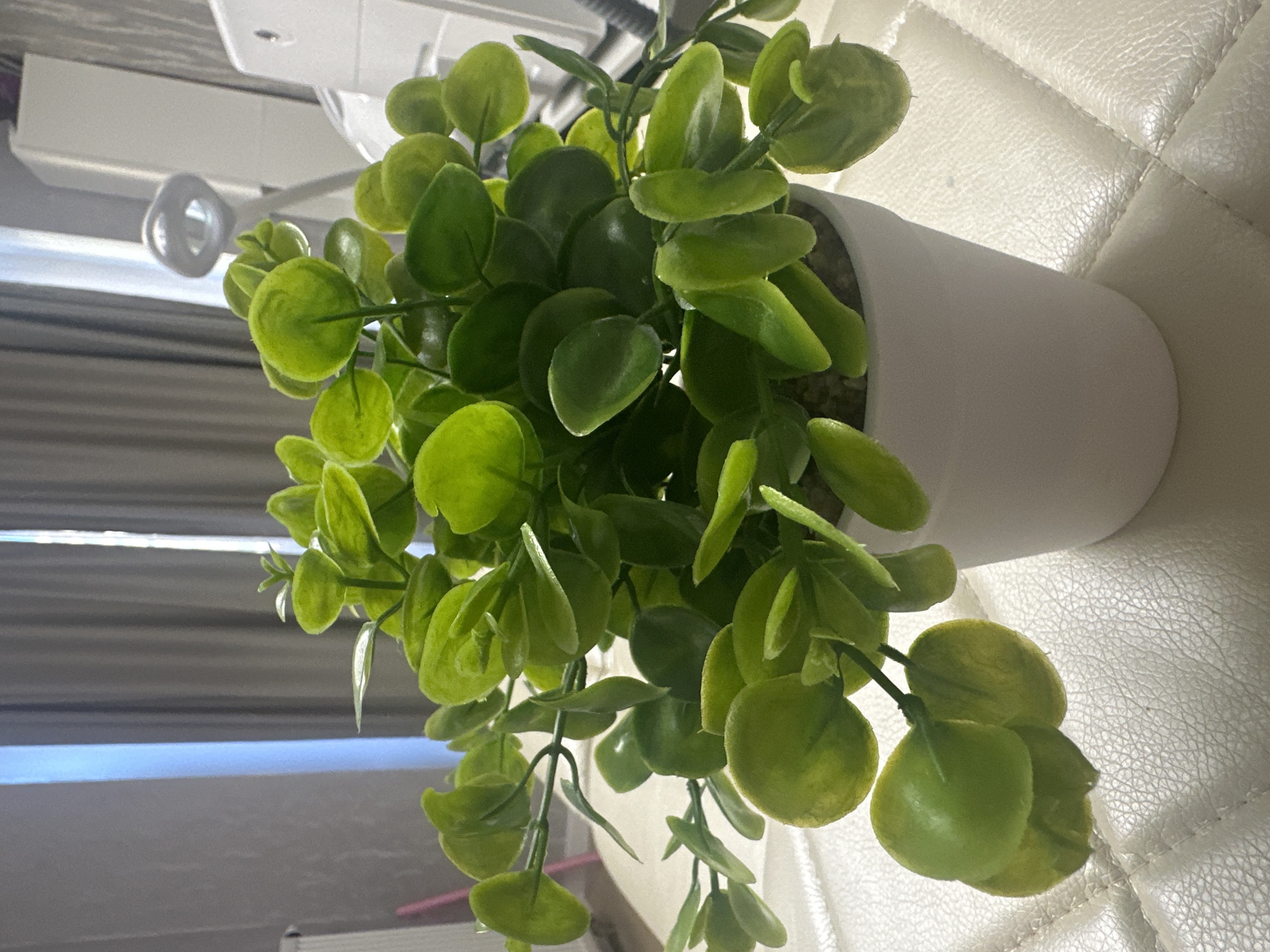A close-up, eye-level, indoor shot features a small, artificial potted plant with bright green, roundish leaves and thin stems. The plant is housed in a simple white pot filled with what appears to be small pebbles or soil. The pot sits on a textured, off-white surface, possibly leather or vinyl, with a quilted pattern. In the background, a gray curtain is visible, partially illuminated by light streaming from an unseen window, creating vertical stripes of light and shadow. To the right of the curtain, a tall, thin white object, possibly furniture or a piece of equipment, is present, along with a ring-shaped light fixture attached to a slender stand. The overall impression is of a well-lit indoor space. The location is Unknown, Unknown.