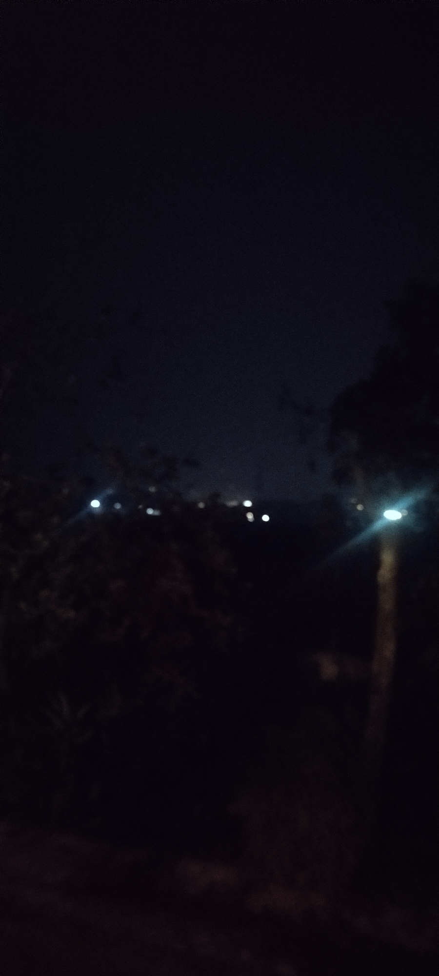 The image depicts a dark, outdoor scene at night, likely in Pasirhuni, Indonesia. The foreground is dominated by shadowy foliage, suggesting the presence of trees or dense vegetation. In the mid-ground and background, a distant cityscape is visible, characterized by scattered points of light, indicating illuminated buildings or streetlights. One prominent light source, possibly a streetlamp, glows brightly on the right side of the image, casting a discernible glow and lens flare. The overall ambiance is one of nocturnal quietude, with the dark sky and limited illumination creating a somewhat mysterious atmosphere.