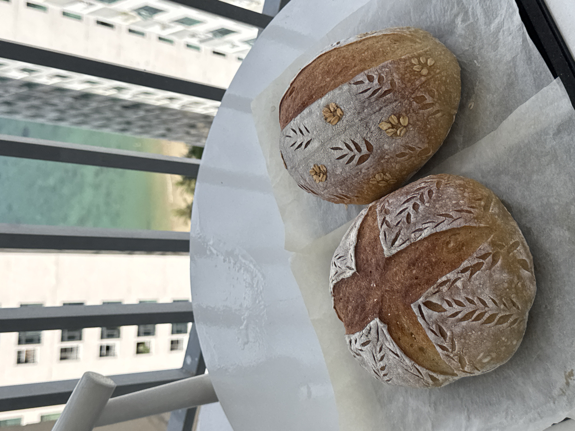 Two exquisitely scored, round loaves of artisanal bread are prominently displayed on a white surface, likely a table, covered with parchment paper. The loaves, a golden-brown color dusted with flour, show intricate patterns carved into their crusts. The top loaf features a circumferential band with delicate leaf motifs and small, flower-like adornments, possibly oats or nuts. The bottom loaf boasts a bold cross-shaped score, with similar fine leaf patterns filling its sections.
The setting appears to be a balcony or high-rise overlooking an urban landscape and a body of water. Dark gray railings of the balcony are visible in the foreground, framing the view. In the background, white multi-story buildings with numerous windows stretch across the scene, characteristic of a modern city. Below and between these structures, a strip of light blue-green water is visible, suggesting a coastal location or large bay.
The bright, natural lighting indicates it is daytime. No people are visible, and no text is present in the image. The scene suggests a tranquil moment, perhaps enjoying freshly baked bread with a scenic urban-coastal backdrop, consistent with Bac Nha Trang Ward, Vietnam.