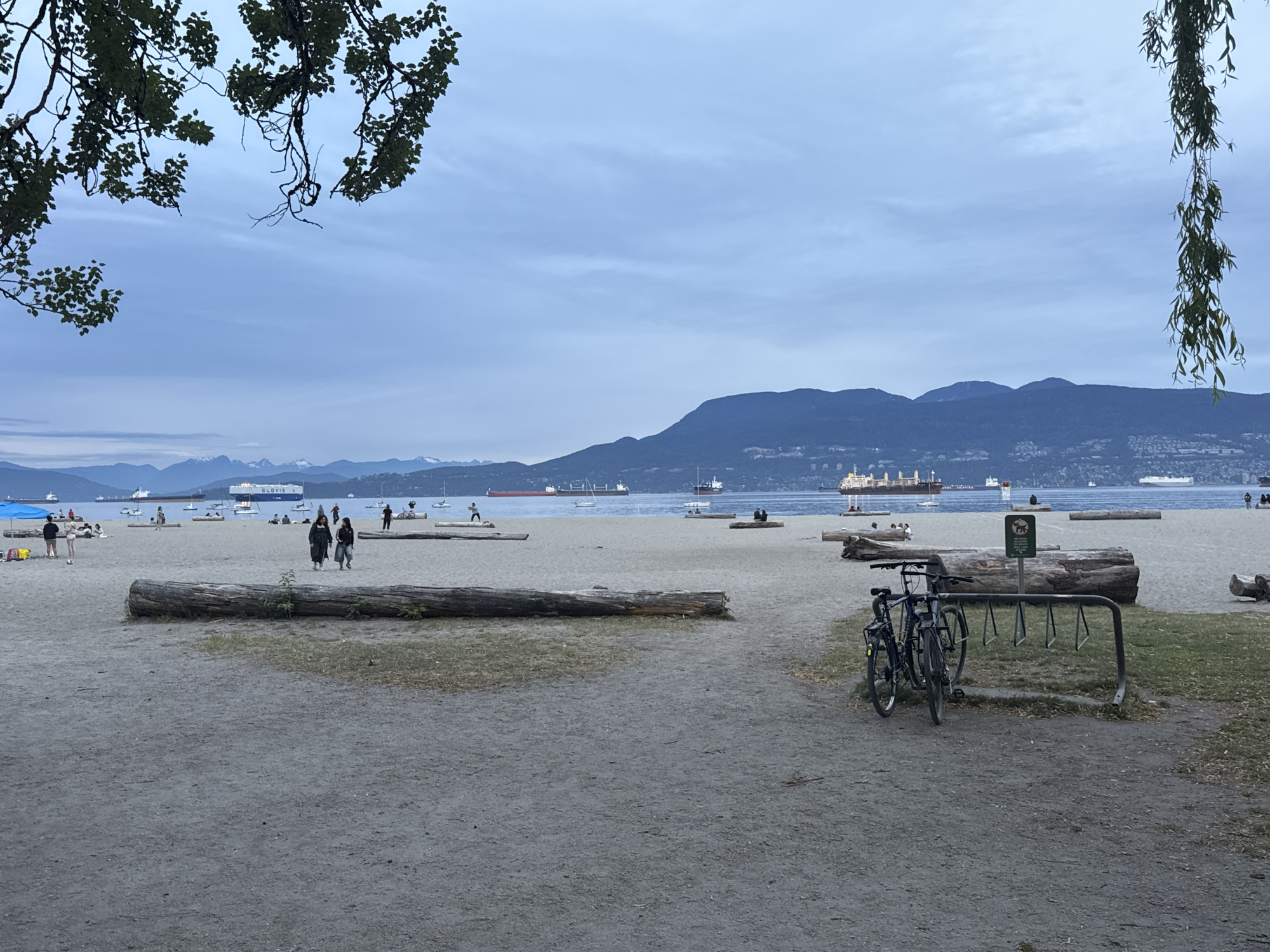 The image depicts a beach in Vancouver, Canada, with mountains in the background. Several large ships are visible in the water. In the foreground, there is a sandy area with logs acting as makeshift seating. People are walking and relaxing on the beach. A bicycle rack with two bicycles parked is also present. Overhanging branches of trees are visible at the top of the frame. The sky is overcast.