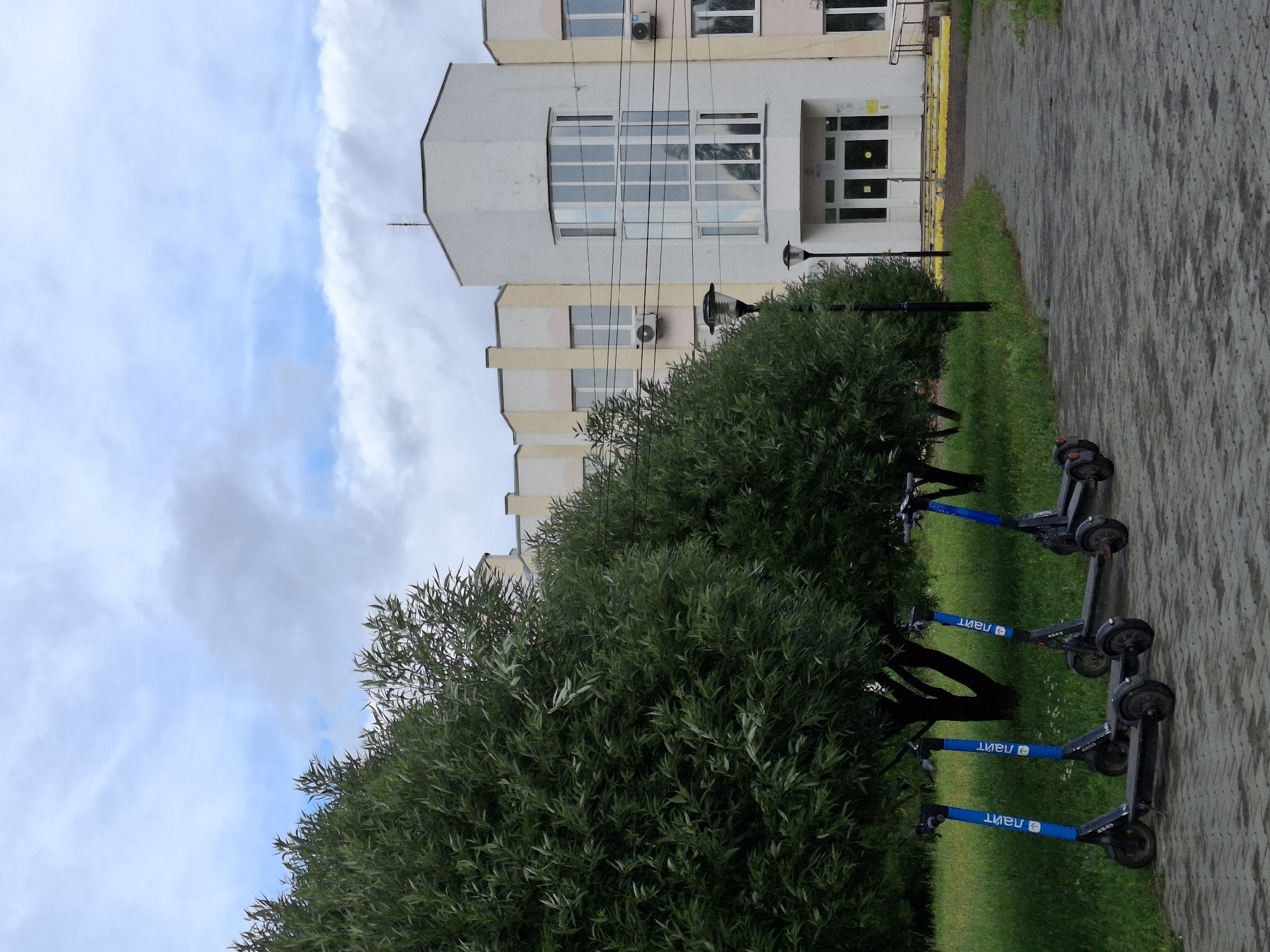 The image depicts a row of four blue electric scooters parked on a paved pathway in front of a light-colored building with yellow accents. Lush green trees with dense foliage line the left side of the pathway, obscuring part of the building. The building appears to be an office or institutional structure with large windows and visible air conditioning units. The sky above is overcast with scattered clouds. The scene suggests an outdoor public space within a city, possibly a park or a street in Chaikovsky, Russia, given the presence of "Лайт" (Light) branding on the scooters, which is a known electric scooter sharing service in Russia.