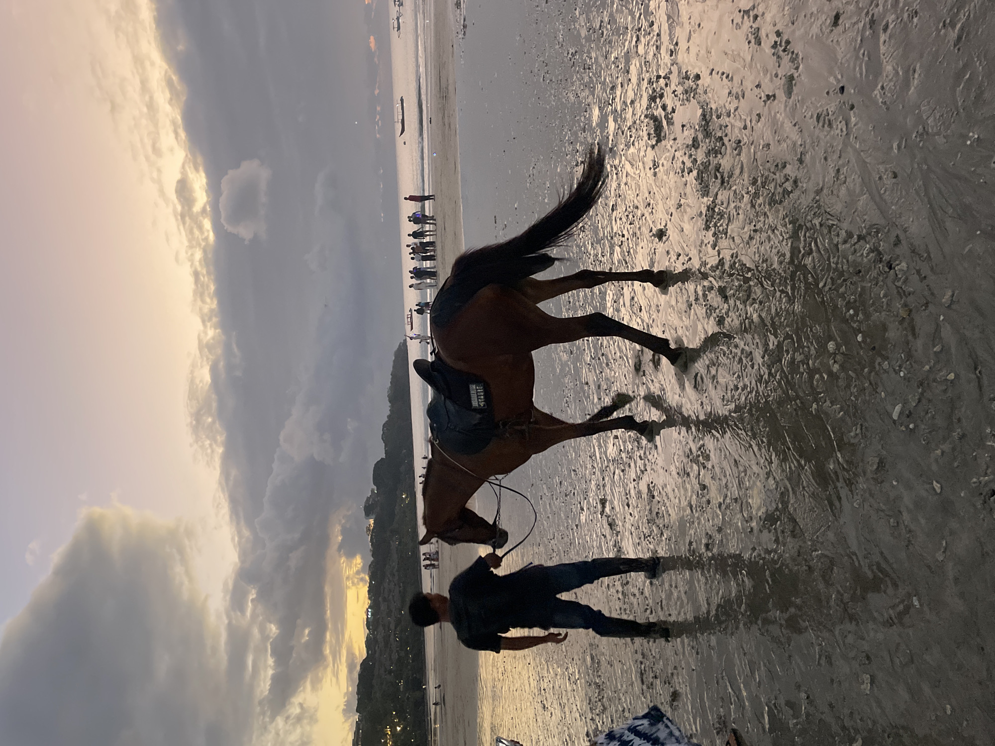 An exterior shot captures a dusky beach scene with a man holding a brown horse by a lead rope. The man, silhouetted against the sunset, wears a dark t-shirt, jeans, and boots. The horse is equipped with a saddle. The wet sand reflects the muted light of the sky, which is filled with dramatic, gray clouds tinged with yellow and pink from the setting sun. In the background, the ocean stretches out, dotted with several boats. Further along the beach, a group of people are gathered, some standing and others possibly walking. Behind them, a tree-covered hillside with buildings is visible. The overall atmosphere is serene and tranquil, with a hint of a tropical or coastal resort setting.