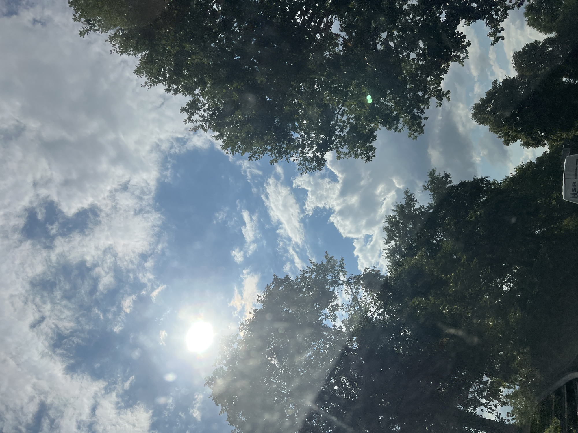 The image shows a view of the sky through trees, with the sun shining brightly. The sun is located in the upper left quadrant of the image, partially obscured by trees and clouds. The sky is blue with scattered white clouds. The trees are lush and green, with dark foliage. The overall impression is one of a bright, sunny day. The scene appears to be outdoors, possibly from a moving vehicle looking up at the sky. There are no people visible in the image. The image is focused on the natural elements of the environment, specifically the sky and the trees.