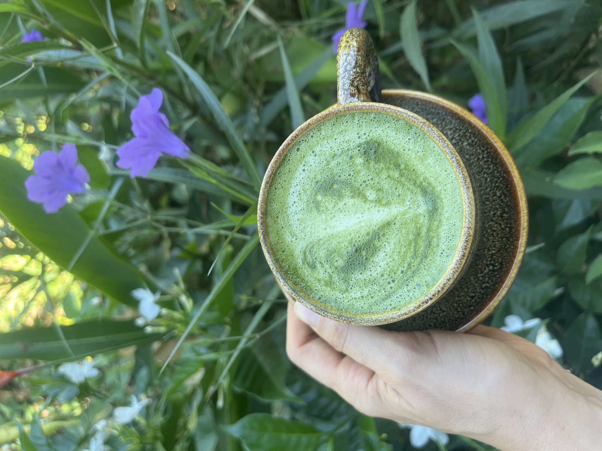 A close-up, high-angle shot captures a person's hand holding a ceramic cup filled with a frothy, vibrant green beverage, likely a matcha latte, against a verdant, out-of-focus background. The hand, with light skin, cradles a textured cup and its matching saucer. The cup's exterior and saucer are a speckled, rustic dark brown, accented by a lighter, irregularly edged brown rim. The drink inside exhibits a rich, foamy green surface, speckled with numerous small bubbles, suggesting a freshly prepared beverage.
The background is a soft blur of abundant green foliage, indicating a shallow depth of field that draws focus to the cup. Within this lush greenery, several colorful flowers are visible. Prominently featured are two trumpet-shaped purple flowers, consistent with Ruellia simplex (Mexican petunia), situated towards the upper left and center. Additionally, clusters of small white flowers, possibly jasmine or similar tropical blossoms, can be seen partially in the lower right and bottom sections of the image.
The bright, natural illumination suggests the photograph was taken during daytime, likely under clear skies. The setting appears to be an outdoor garden or a natural green space, possibly a café patio or a private garden in a tropical environment. The presence of such lush, tropical-looking flora aligns well with the provided context of Đà Nẵng, Vietnam. The overall scene conveys a sense of tranquility and the enjoyment of a refreshing drink in a peaceful, natural setting. No text is visible in the media file.