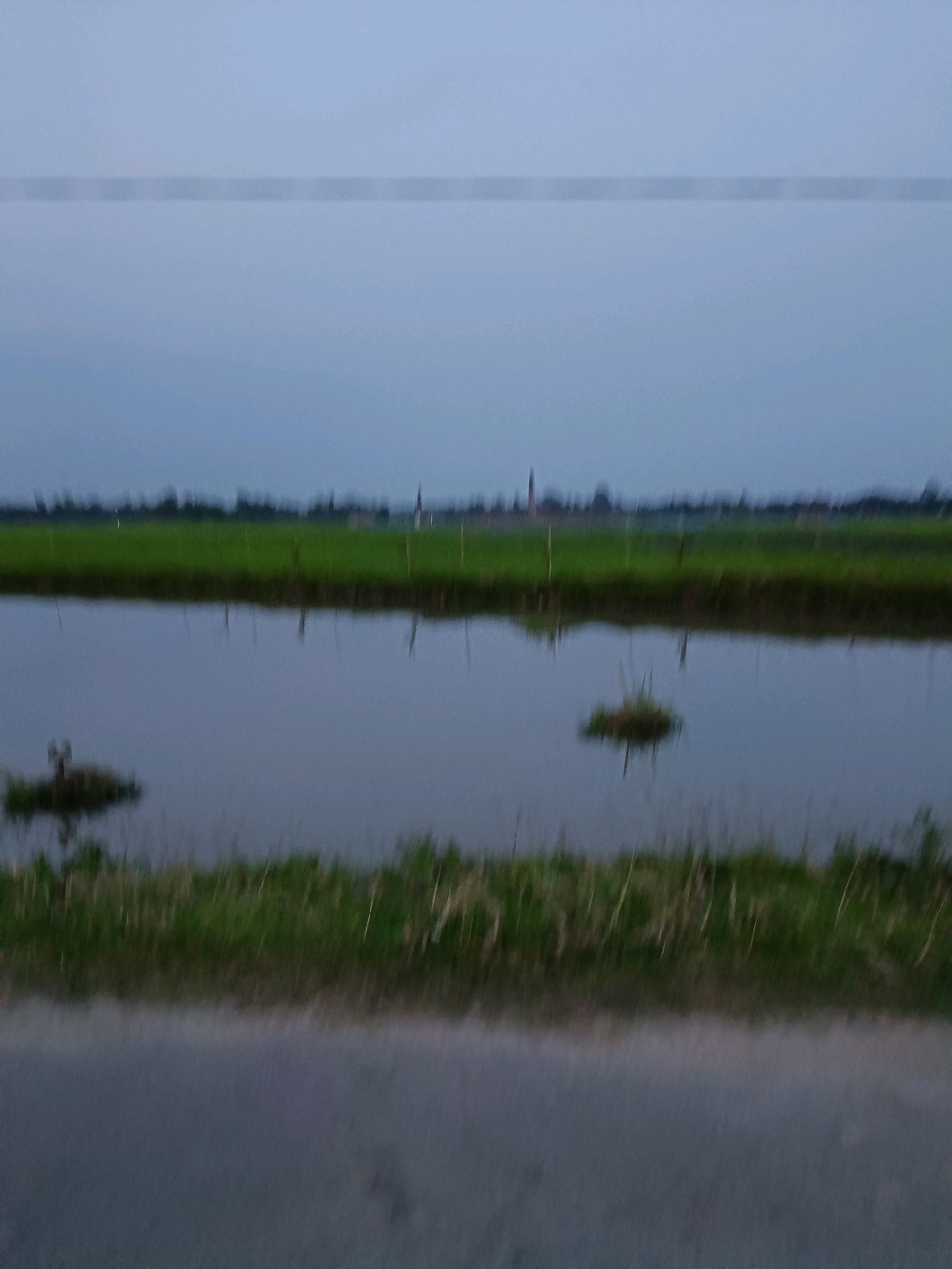 The image depicts a serene, overcast rural landscape, likely in Barpeta, India, characterized by a body of water and surrounding greenery. The water, reflecting the muted sky, dominates the foreground and midground. To the left, a small patch of vegetation emerges from the water, with what appears to be a single, dark object, possibly a bird or a piece of debris, resting on it. Further to the right, another smaller clump of vegetation floats on the water.
The midground features a strip of green fields, likely agricultural land, extending horizontally across the image. The distant horizon is marked by a faint line of trees and indistinct structures, suggesting a village or small town in the distance. The sky is a uniform, pale blue-gray, indicating diffused light typical of cloudy weather. A thin, dark horizontal line, possibly a power line or a distant structure, bisects the upper portion of the sky. The overall impression is one of tranquility and natural beauty, devoid of any human activity or prominent man-made objects in the immediate vicinity. The ground in the very foreground is a blurred, dark surface, possibly a road or pathway.
