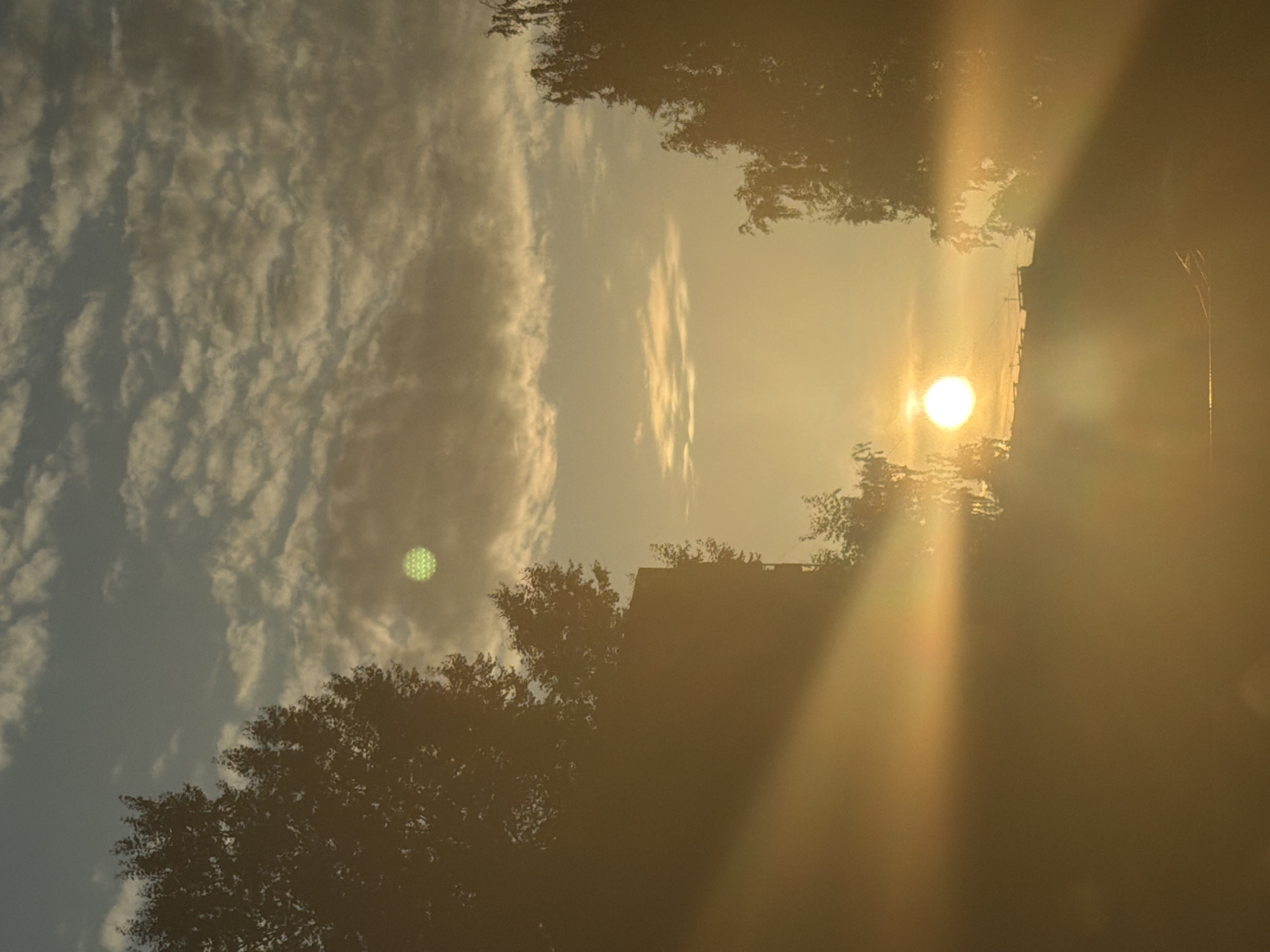 The image depicts a hazy, golden sunrise over a city. The sun, a bright orb, is visible in the middle of the frame, casting long rays of light through the mist. Silhouettes of trees and buildings frame the sun, creating a sense of depth. The sky is filled with wispy clouds, tinged with orange and yellow hues. There is a faint, circular green lens flare in the upper left portion of the image. The overall impression is one of a peaceful and atmospheric morning in Saint Petersburg, Russia.