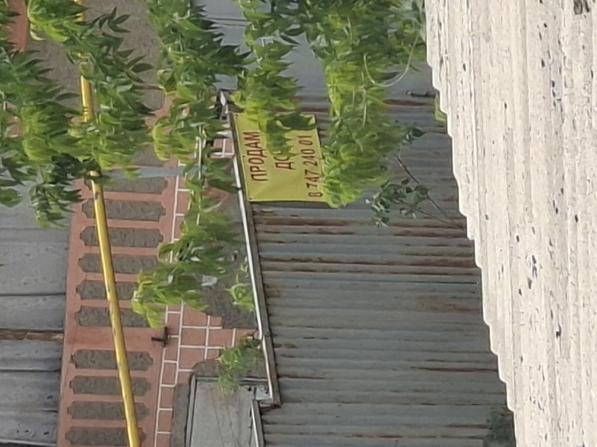 The image depicts a yellow sign with Cyrillic text "ПРОДАМ ДОМ" (SELL HOUSE) and a phone number "8 747 240 01" attached to a corrugated metal fence. Green foliage from a tree partially obscures the sign. Behind the fence, a brick wall with decorative elements and a yellow pipe is visible. The foreground shows a light-colored, textured surface, possibly a roof or pavement. The overall scene suggests an outdoor environment, likely in a residential or semi-industrial area. Given the Cyrillic text and the phone number format, the location is likely in Kazakhstan, potentially Almaty.