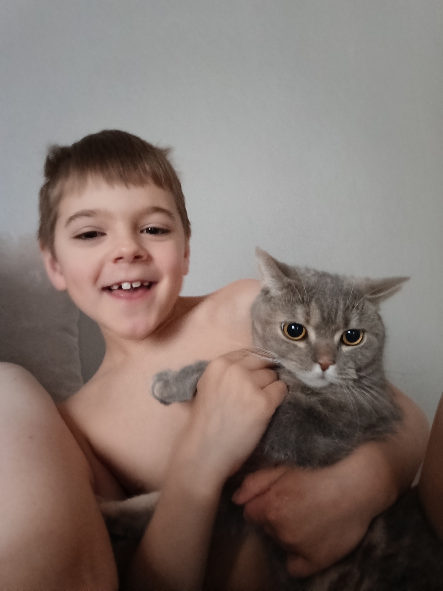 This close-up indoor photograph captures a heartwarming moment between a young boy and a grey cat, taken in Chaikovsky, Russia. The boy, estimated to be between five and eight years old, has short brown hair and a radiant, open-mouthed smile, revealing a few missing front teeth. He appears shirtless, with his bare shoulders and torso visible, and is holding the cat securely in his arms.
The feline companion is a grey tabby cat, possibly a British Shorthair, distinguishable by its round face, amber eyes, and soft grey fur with subtle tabby markings. Its ears are slightly flattened, and its wide, round eyes are intently focused on the camera, suggesting a state of alertness or mild curiosity. The background is a simple, light grey wall, indicating an uncluttered indoor setting, likely a home environment. The soft, even lighting suggests either natural light from a nearby window or gentle artificial illumination.
The boy's joyful and playful expression contrasts with the cat's more reserved and attentive demeanor. No visible text is present in the image.