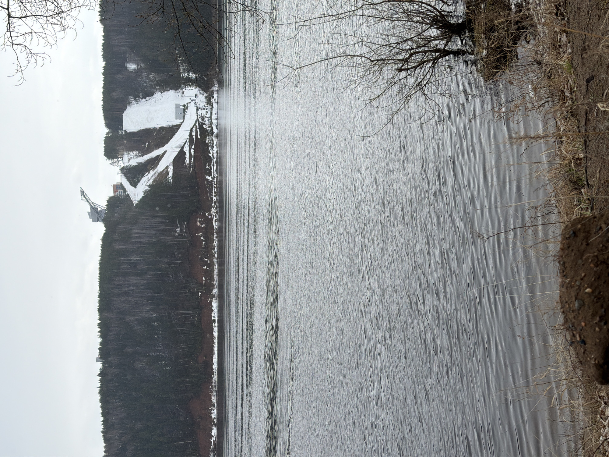 The image shows a body of water with a view of a ski jumping complex on the opposite shore. The complex includes ski jumps of varying sizes, with snow on the inrun and landing areas. The surrounding area is forested, with bare trees suggesting a cold season. The sky is overcast, contributing to a muted color palette. The shoreline in the foreground is composed of dirt and sparse vegetation. The location is likely near or in Noviy, Russia, based on the identification of the ski jumping complex.