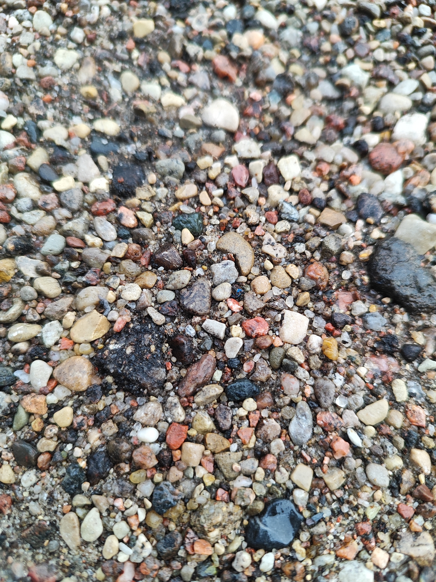 The image shows a close-up, overhead view of a surface covered in small, multi-colored pebbles and sand. The pebbles vary in size, shape, and color, with shades of gray, brown, red, and white being prominent. Some of the pebbles appear wet, giving them a darker, more saturated appearance. The sand is fine-grained and mixed in with the pebbles. The overall impression is of a natural ground surface, possibly a path, beach, or construction site. There are no discernible people, objects, or actions depicted in the image, nor any specific environmental features that would allow for precise identification of a location within Hrodna, Belarus.