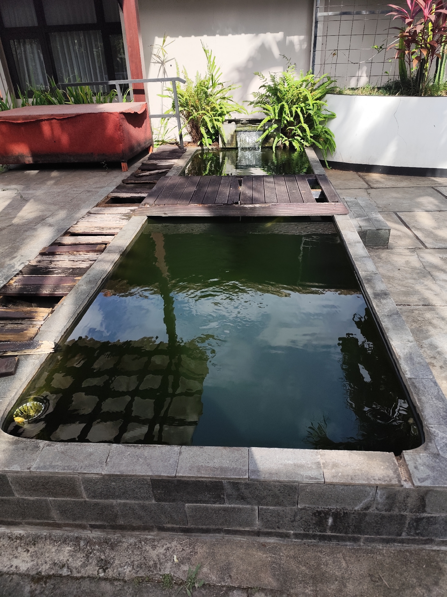 The image depicts an outdoor area in Tegalarum, Indonesia, featuring a rectangular pond with dark green water. The pond is bordered by stone and concrete. Adjacent to the pond is a wooden walkway, some sections of which appear weathered and damaged. To the left of the pond, a red upholstered bench sits on a concrete surface. Behind the pond, there is a small waterfall feeding into it, surrounded by lush green ferns and plants. A white wall with a grid pattern and more plants, including some with red leaves, is visible in the background. The scene is illuminated by sunlight, casting shadows on the ground and the water's surface, which reflects the sky and surrounding structures.