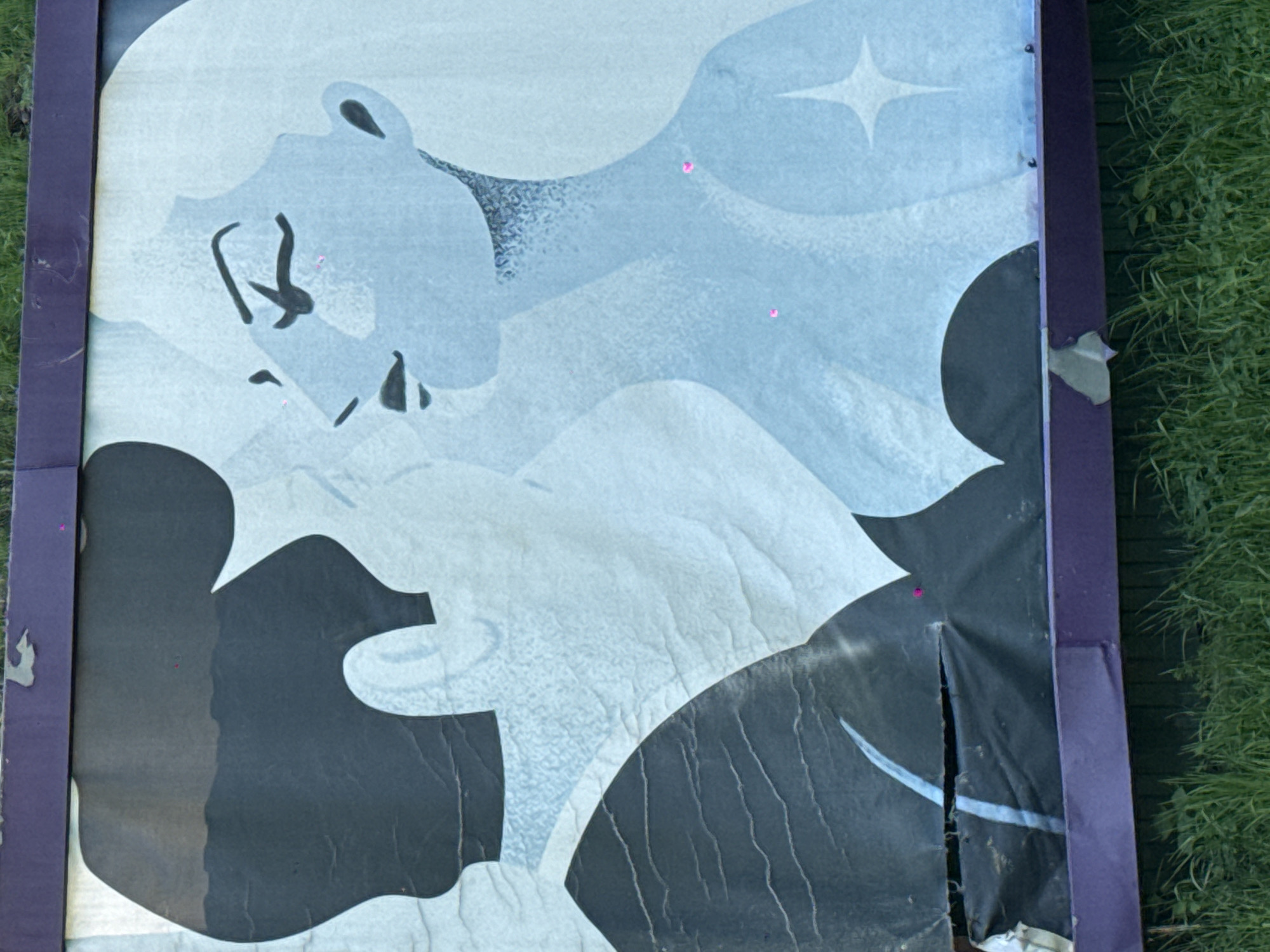 An illustration in a frame, situated outdoors next to some greenery. The illustration features abstract shapes in shades of light blue and black, representing a person's profile with a star in the background. The poster appears worn with tears and some damage to the frame. It is impossible to ascertain the location as Moscow, Russia without more information.