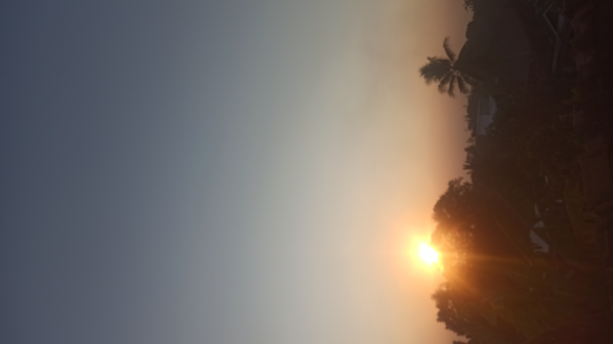 The image depicts a sunrise over a dense, low-rise urban landscape, likely in Tuba, Indonesia. The sun, a bright, radiant orb, is positioned in the left half of the frame, its light casting long rays through the silhouettes of trees and foliage. The sky transitions from a soft orange glow near the horizon to a clear, pale blue at the top of the frame. A single palm tree stands out against the horizon on the right side, its fronds clearly defined. Buildings with visible rooftops are scattered amongst the greenery, suggesting a residential or mixed-use area. The overall atmosphere is serene and evokes the peacefulness of dawn.