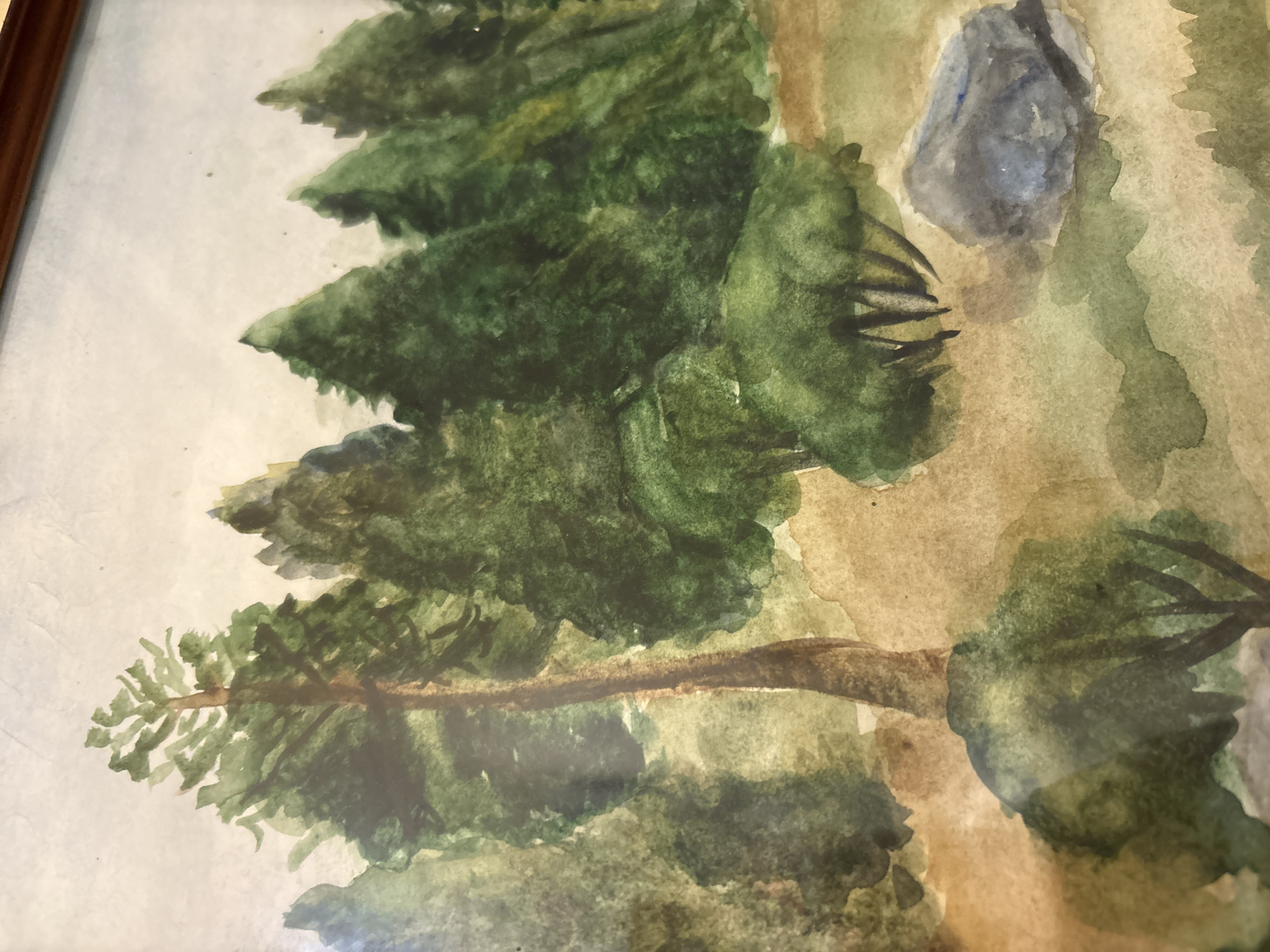 A watercolor painting depicts a forest scene with several evergreen trees of varying sizes. In the foreground, to the left, there is a small clump of green foliage with visible dark branches. To the right, a large, gray rock with blue and black undertones rests on the ground. The ground itself is a mix of brown and tan hues, with some areas appearing sandy and others more earthy. In the background, a dense line of dark green trees creates a forest backdrop, with the sky above being a pale, hazy gray. A single tall tree with a brown trunk stands prominently in the mid-ground, slightly to the left of the center. The painting appears to be unframed, with the edges of the paper visible and a wooden frame at the top.