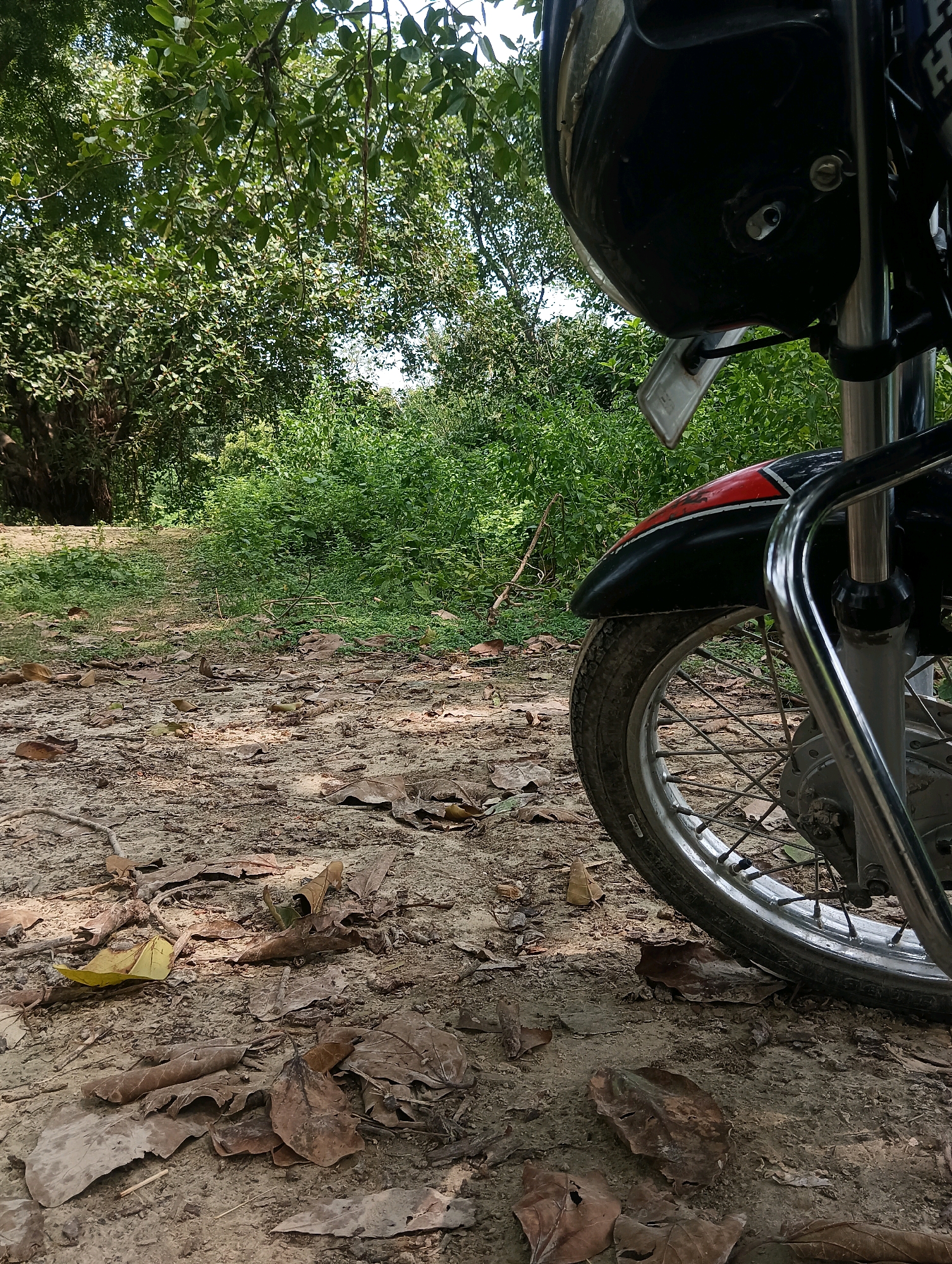 The image shows a close-up of a motorcycle's front wheel and part of its fairing, parked on a dirt path. The path is covered with fallen brown leaves and some scattered dry twigs. Lush green vegetation and trees are visible in the background, suggesting a natural or semi-rural environment. The motorcycle's front fender is black with a red stripe. The chrome handlebars and part of the suspension are also visible. The scene appears to be outdoors, likely in a park or a quiet road in Tilkar, India. There are no people or animals present in the image. The lighting suggests it is daytime, with sunlight filtering through the leaves, casting shadows on the path.