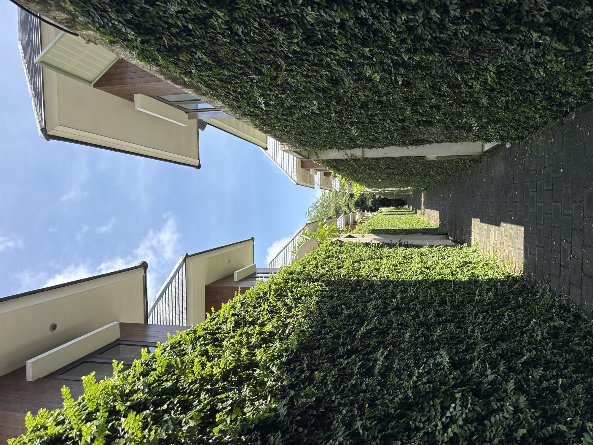 Captured from ground level in Jimbaran, Indonesia, the image shows a narrow passageway between buildings. The sky is visible above, with buildings on either side. Thick green ivy completely covers the building facades, contrasting with the blue sky. The passageway is paved with dark grey bricks or stones. The architecture of the buildings includes light-colored walls, dark wood accents, and angled roofs. The overall scene creates a blend of urban design and natural vegetation.
