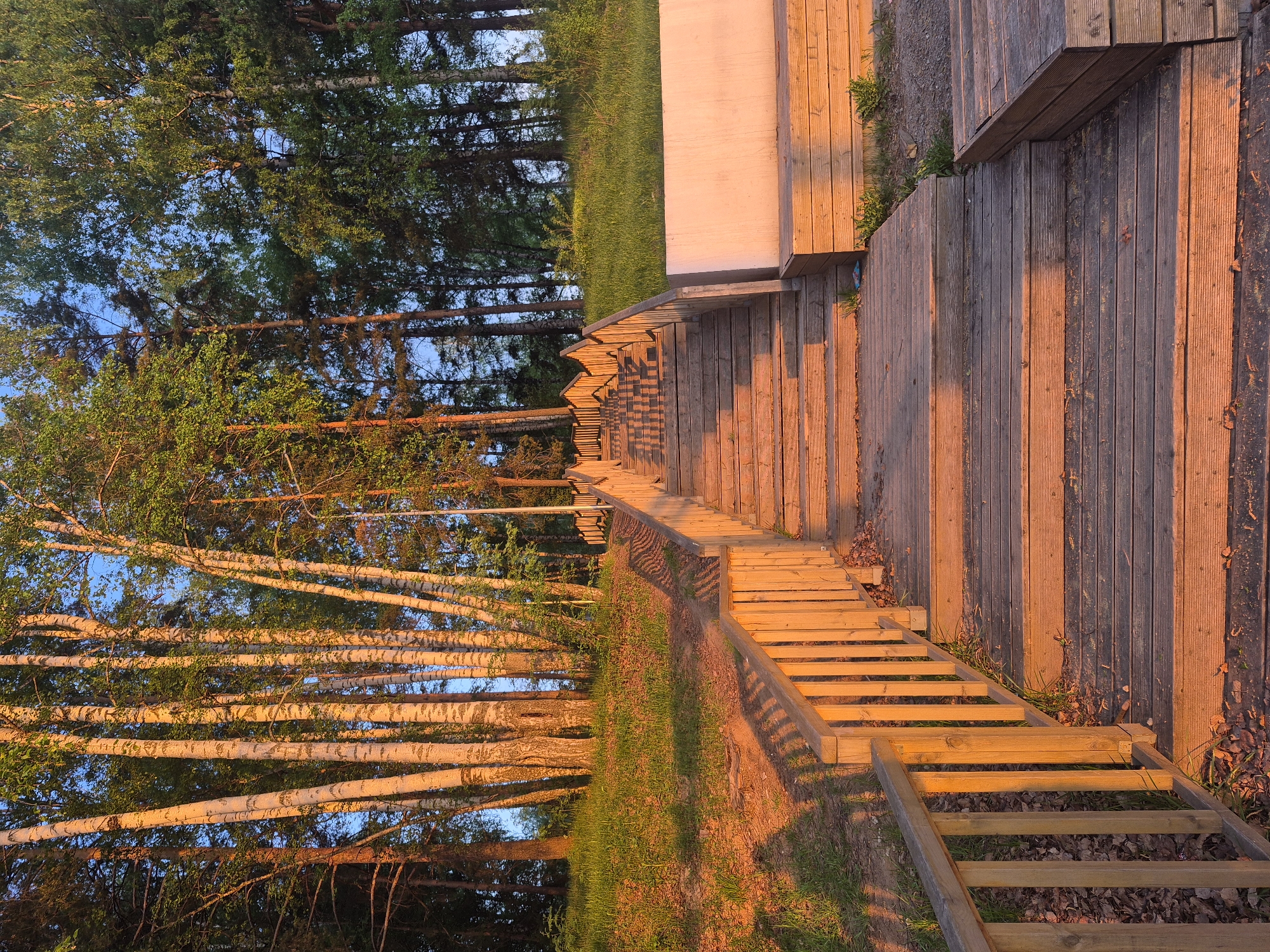 This image shows a wooden boardwalk or stairway leading downhill from a building or platform. The stairway has wooden handrails on one side and a partial wooden enclosure on the other. The environment consists of grass, trees (including birch trees), and the ground. The scene is illuminated by warm, late-afternoon or early-evening light. The location is Chaikovsky, Russia.