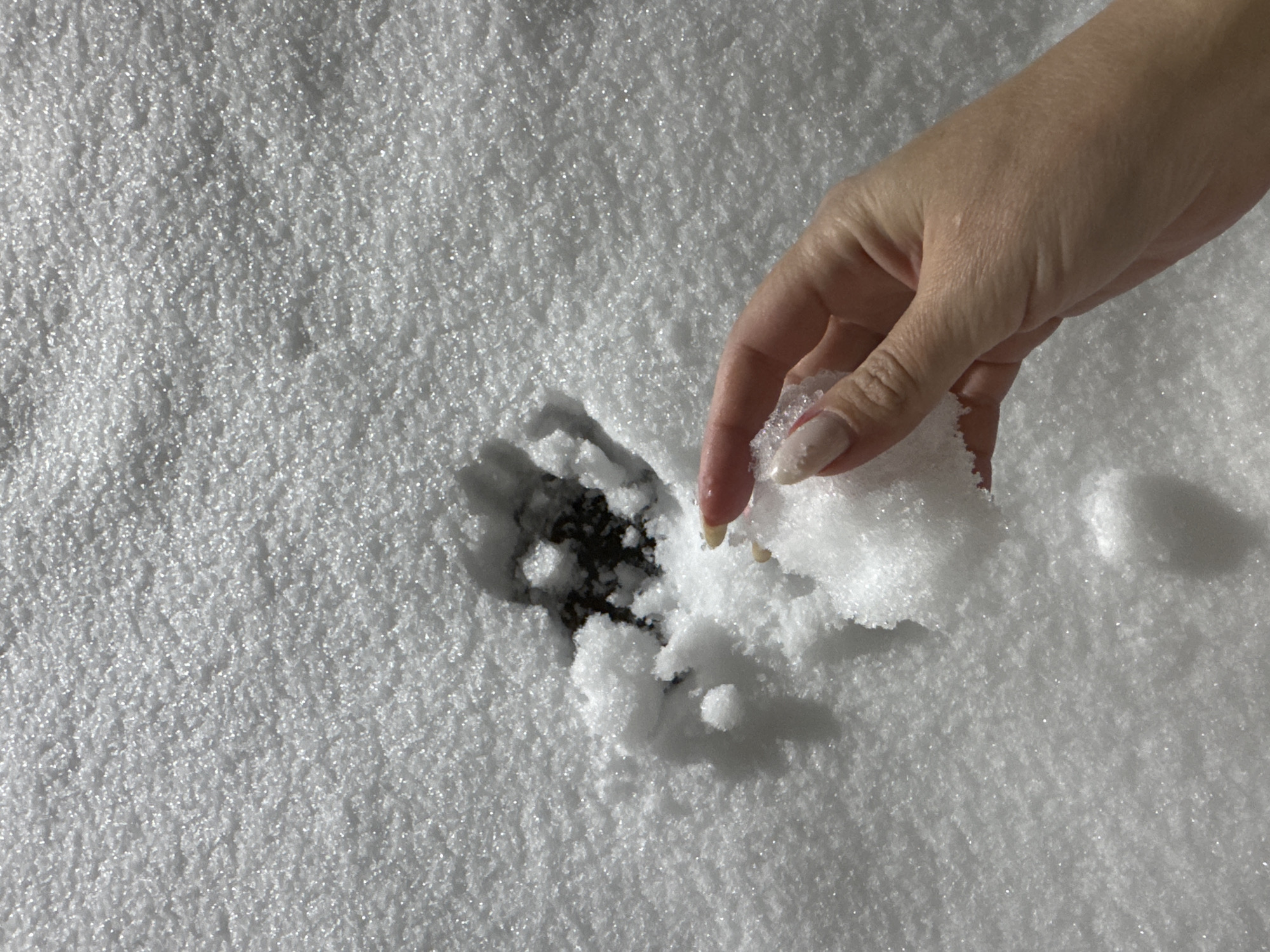 A fair-skinned hand with long nails is holding a clump of snow over a bare patch of earth in a snowy field. A shadow is cast behind the hand. The location is speculated to be near Вассята, Russia.