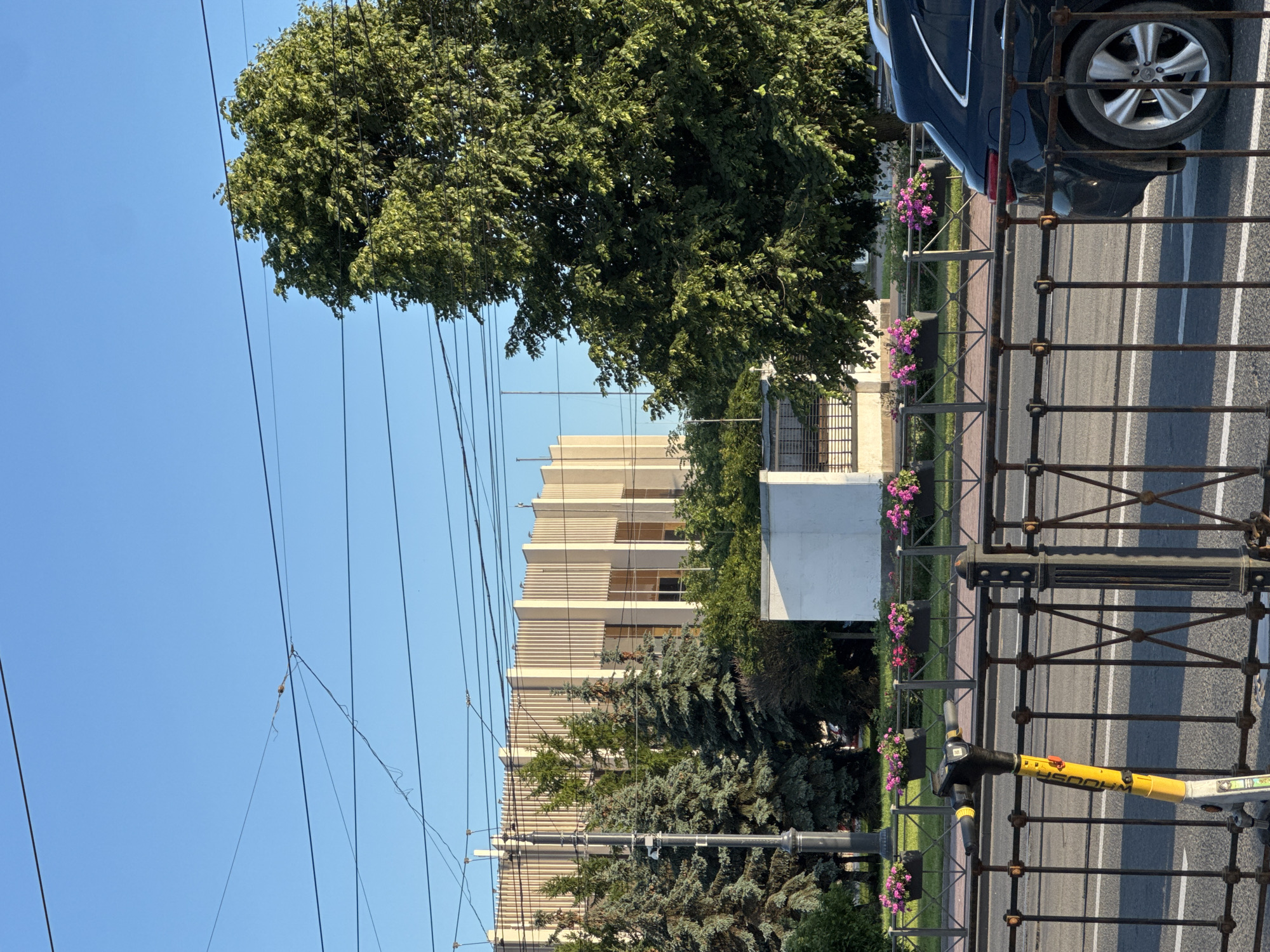 This is a medium shot of a street scene in Saint Petersburg, Russia, on a clear, sunny day. In the foreground, a black metal fence runs horizontally across the image, with a yellow electric scooter parked behind it. The scooter has a QR code visible on its handlebars. To the right of the fence, a dark-colored SUV is partially visible, its rear wheel and fender catching the sunlight.
Beyond the fence, a sidewalk is lined with planters filled with pink flowers. Behind the sidewalk, several evergreen trees and a large deciduous tree with dense green foliage create a natural barrier. In the background, a modern, light-colored building with a distinctive vertical ribbed facade stands against the bright blue sky. Overhead, a network of power lines crisscrosses the upper portion of the frame. The overall impression is an urban environment with a blend of modern architecture, natural greenery, and infrastructure.
