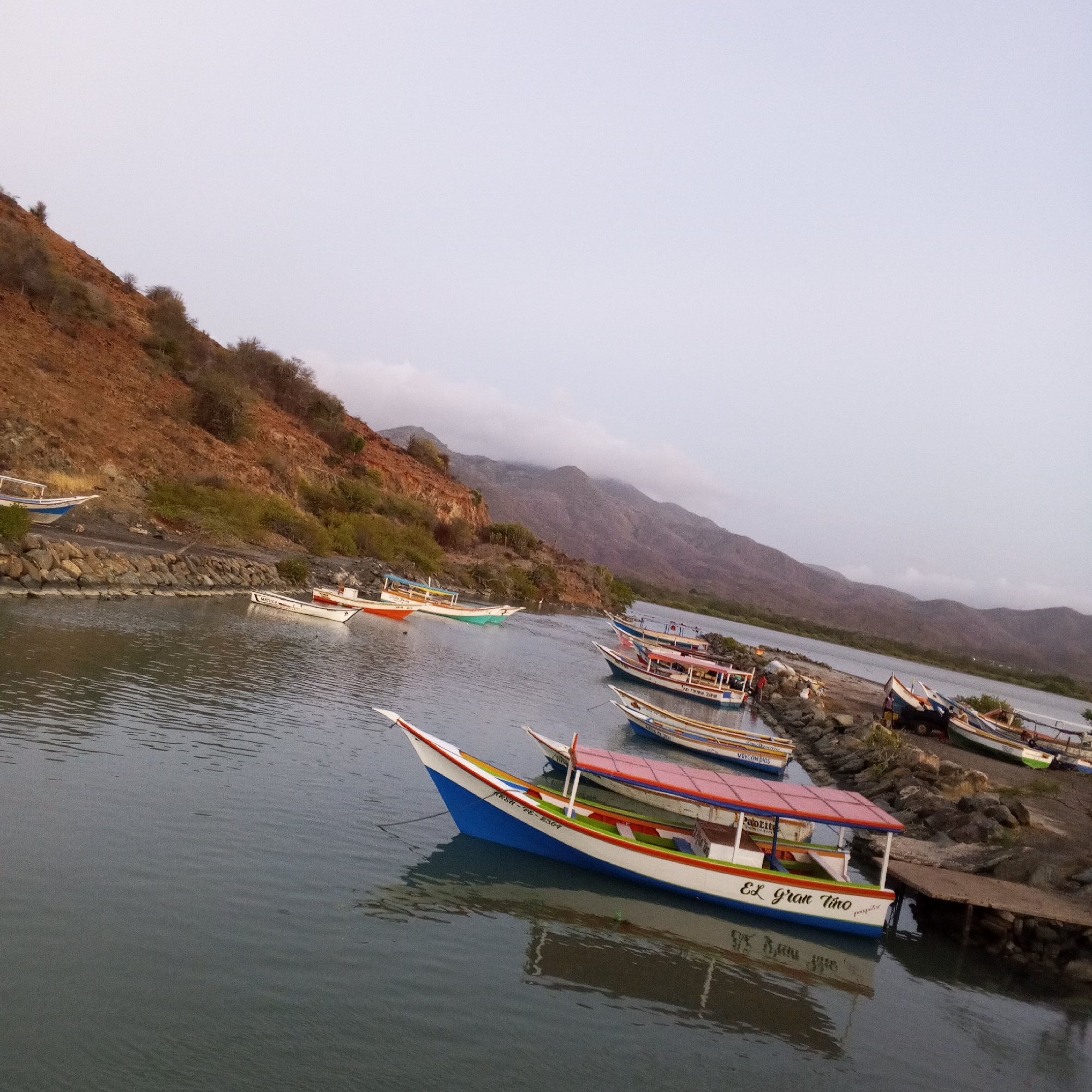 The scene is a waterway in Pedro González, Venezuela, with multiple small, brightly painted boats docked or moored along the shoreline. Some boats are resting on the shore or a stony embankment. The boat closest to the viewer is predominantly blue and white, with a red roof. The name "El Gran Tino" is written on its side. Several other boats, featuring a variety of color combinations, are positioned further away. The background features a hillside with sparse vegetation and mountains fading into a cloudy sky. There are no people visible in the photo. A small wooden dock is present next to the "El Gran Tino" boat.